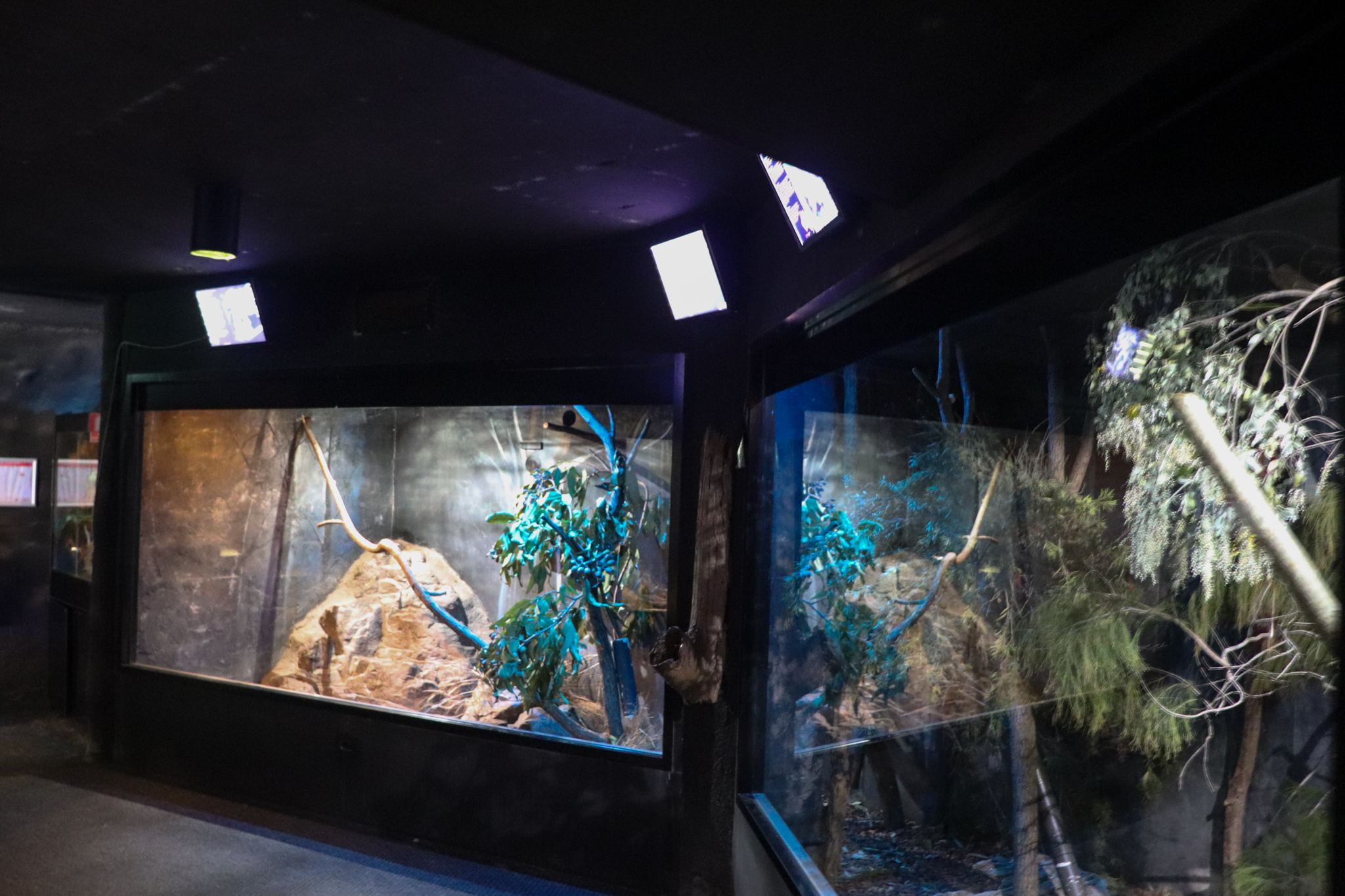 Squirrel Glider/Potoroo Enclosure - Nocturnal House