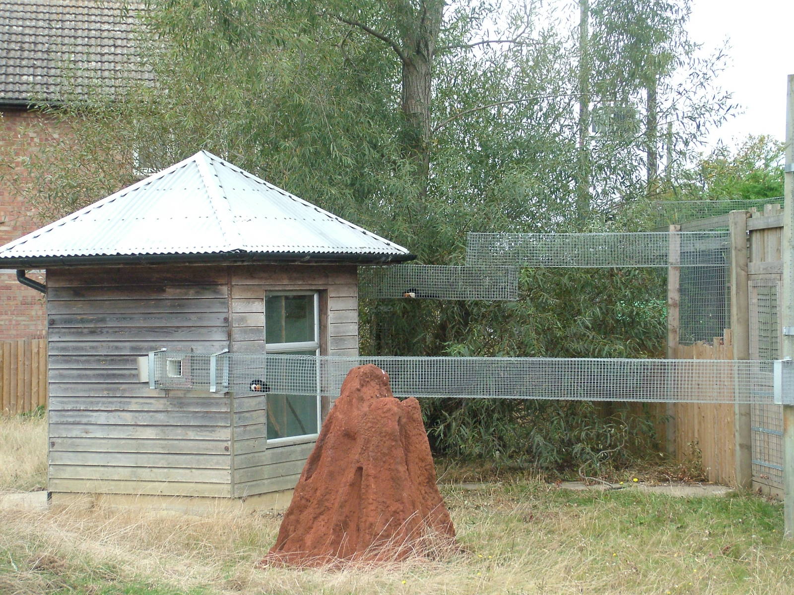 Squirrel House at Hamerton, 08/10/11