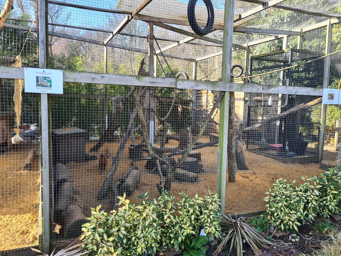 Squirrel Monkey, Agouti and Hutia Exhibit
