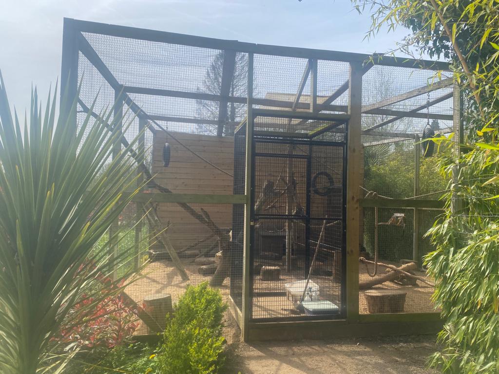 Squirrel Monkey, Agouti & Cuban Hutia Enclosure