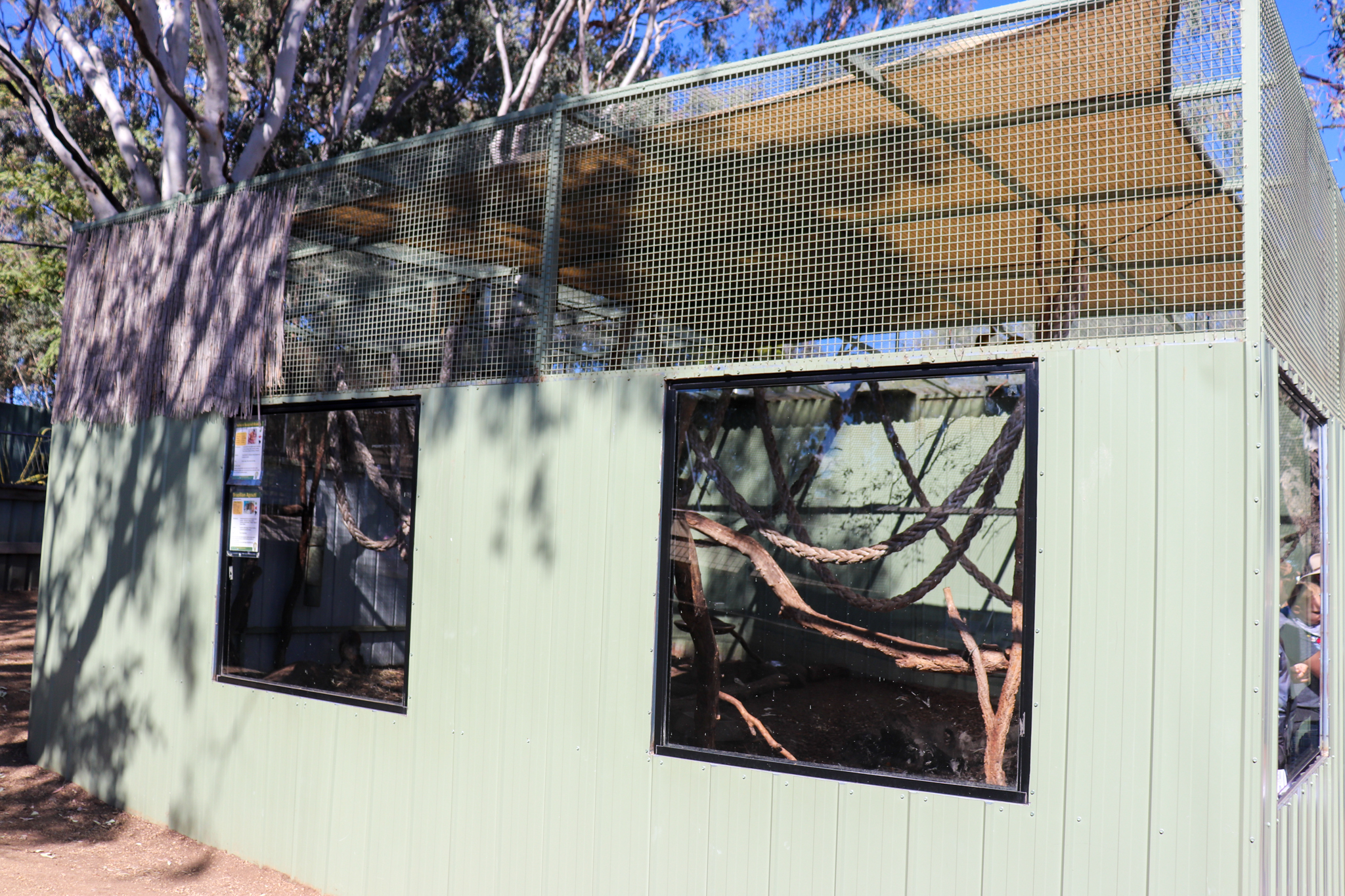 Squirrel Monkey/Agouti Enclosure