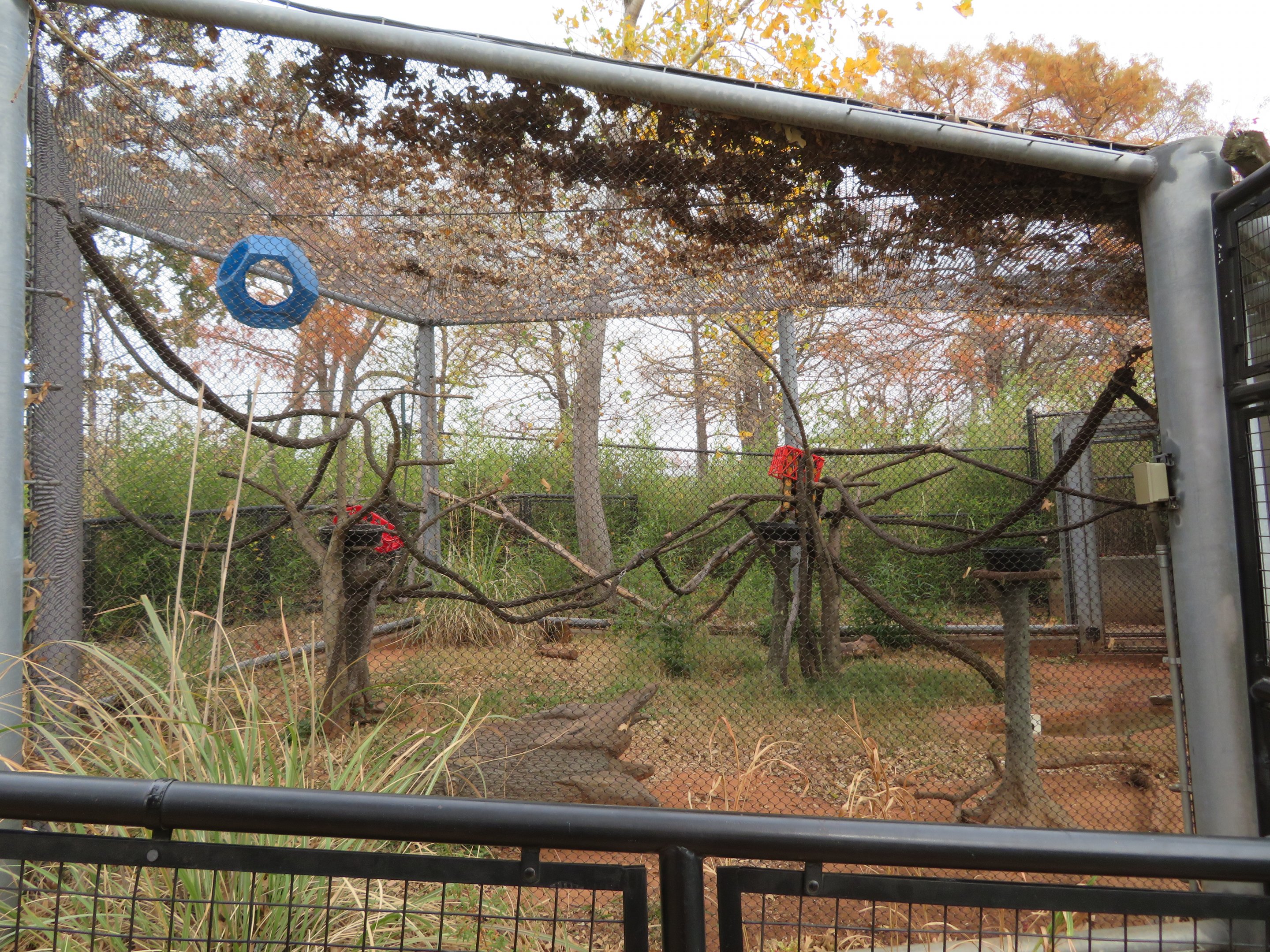 Squirrel Monkey/Agouti Exhibit