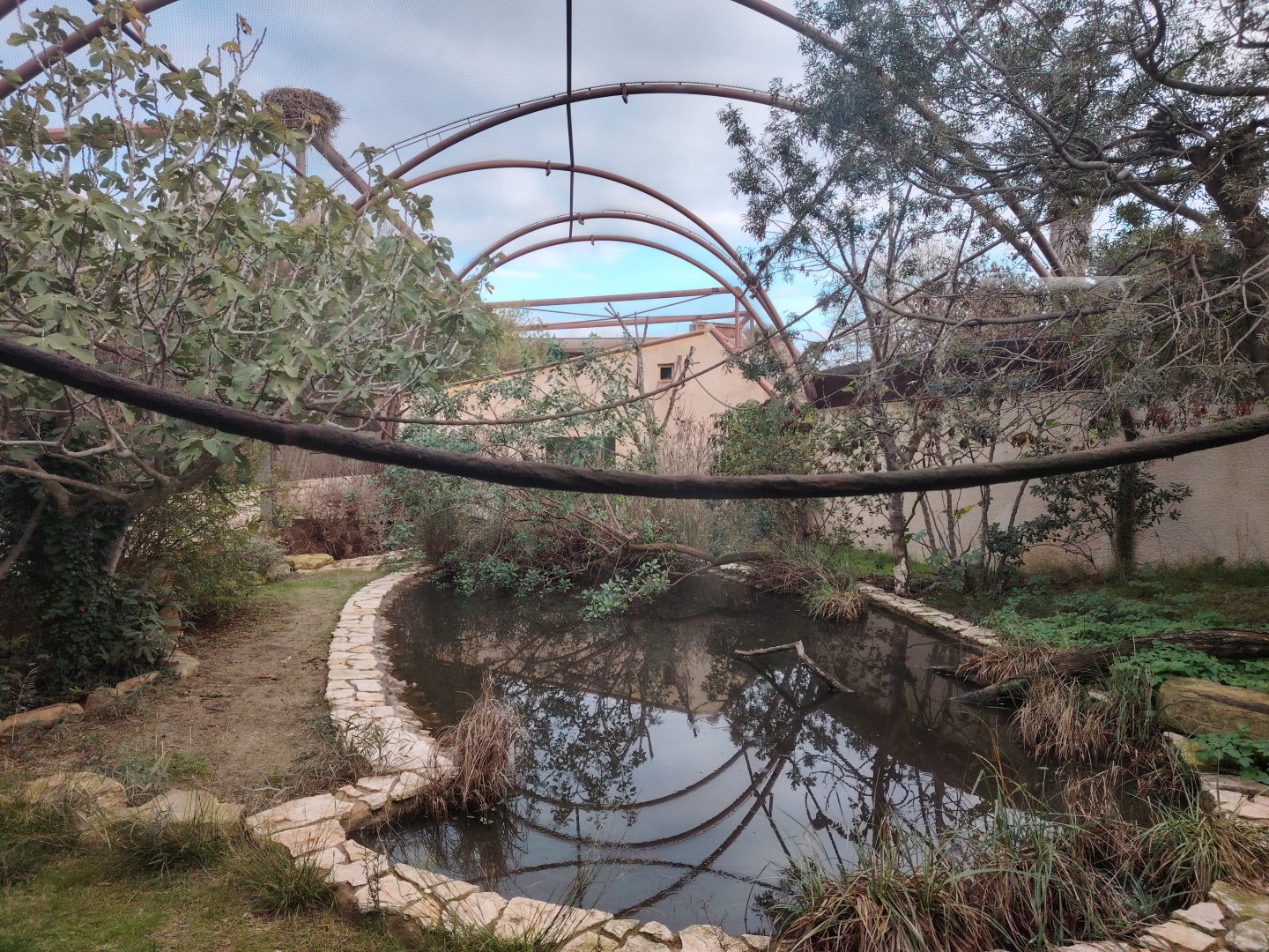 Squirrel Monkey & American Alligator Aviary