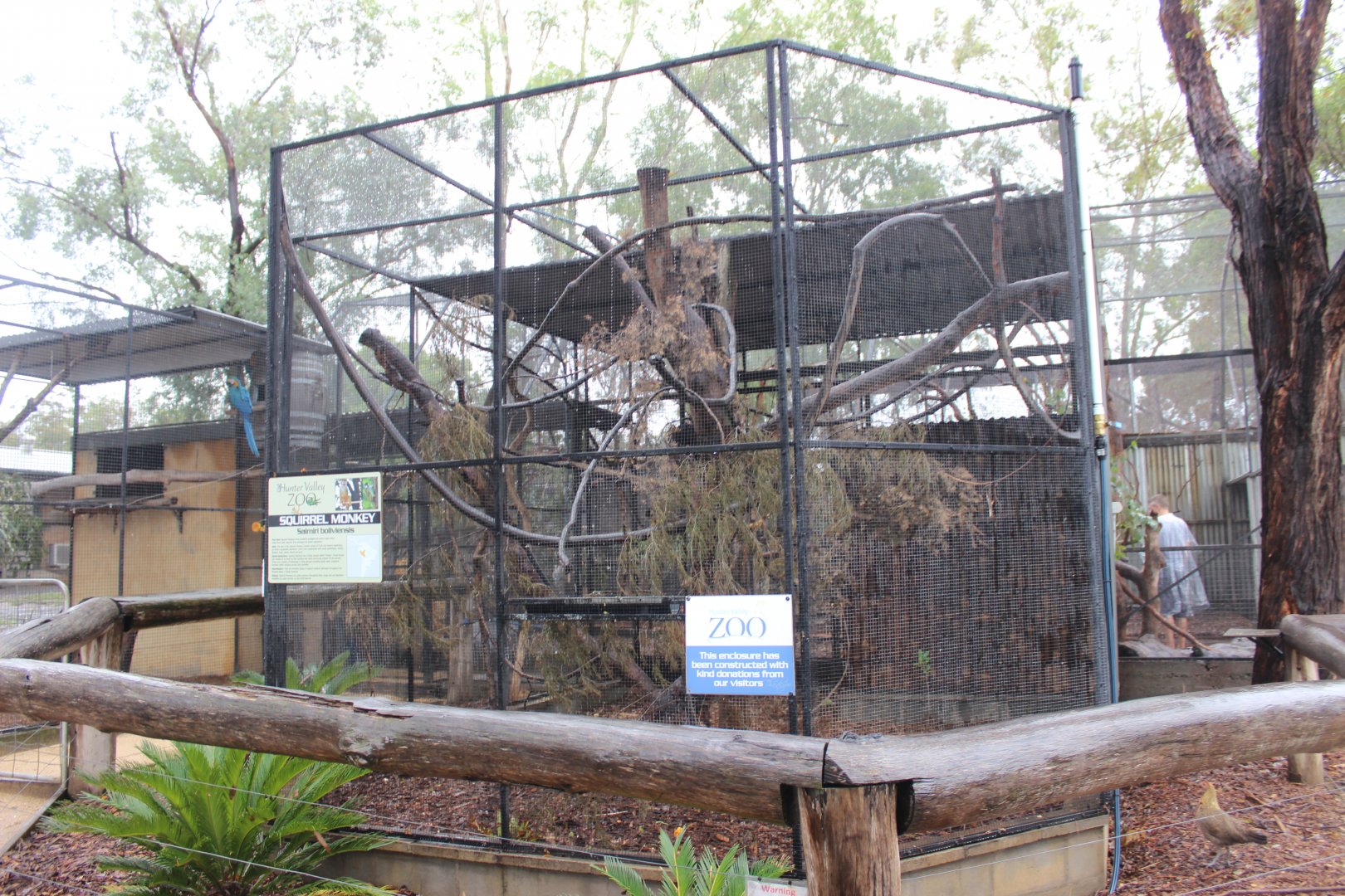 Squirrel Monkey and Agouti enclosure