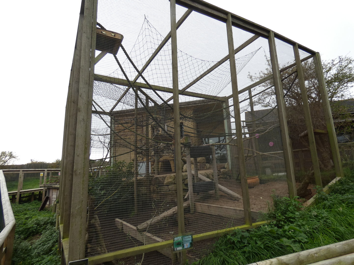 Squirrel monkey and agouti enclosure