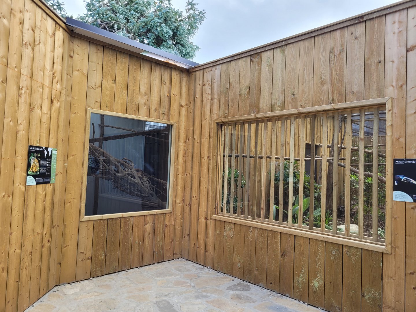 Squirrel monkey and aracari viewing area -Zoo de Labenne (2024)