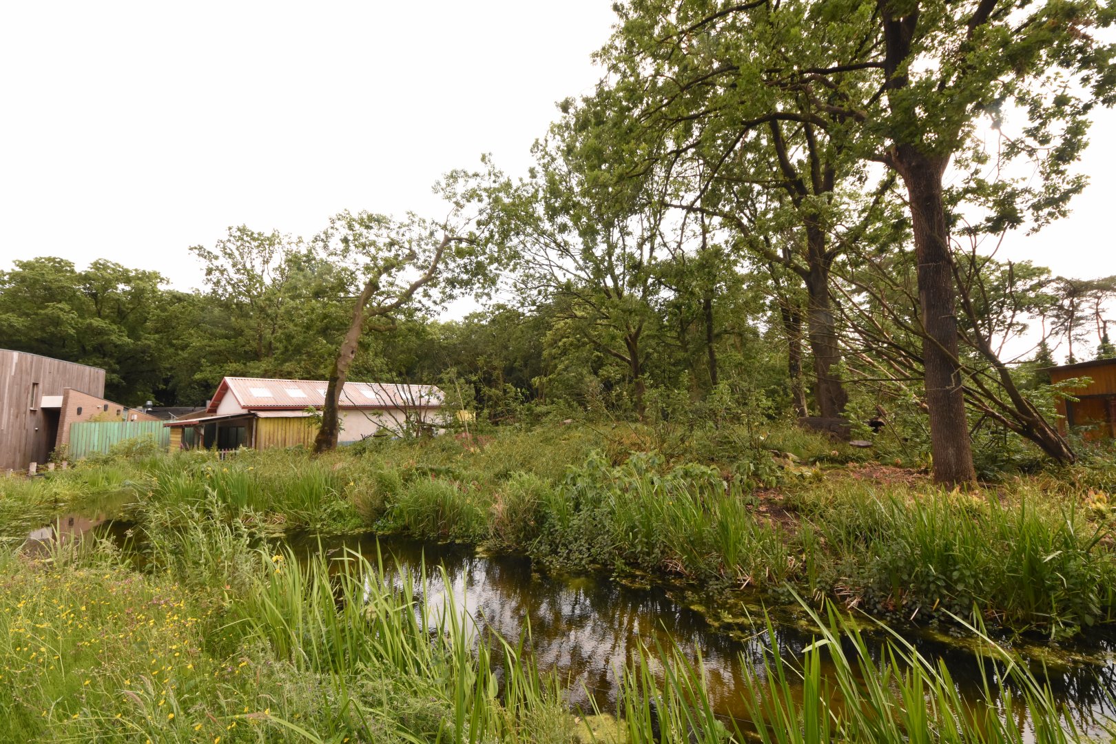 Squirrel Monkey and Coati enclosure