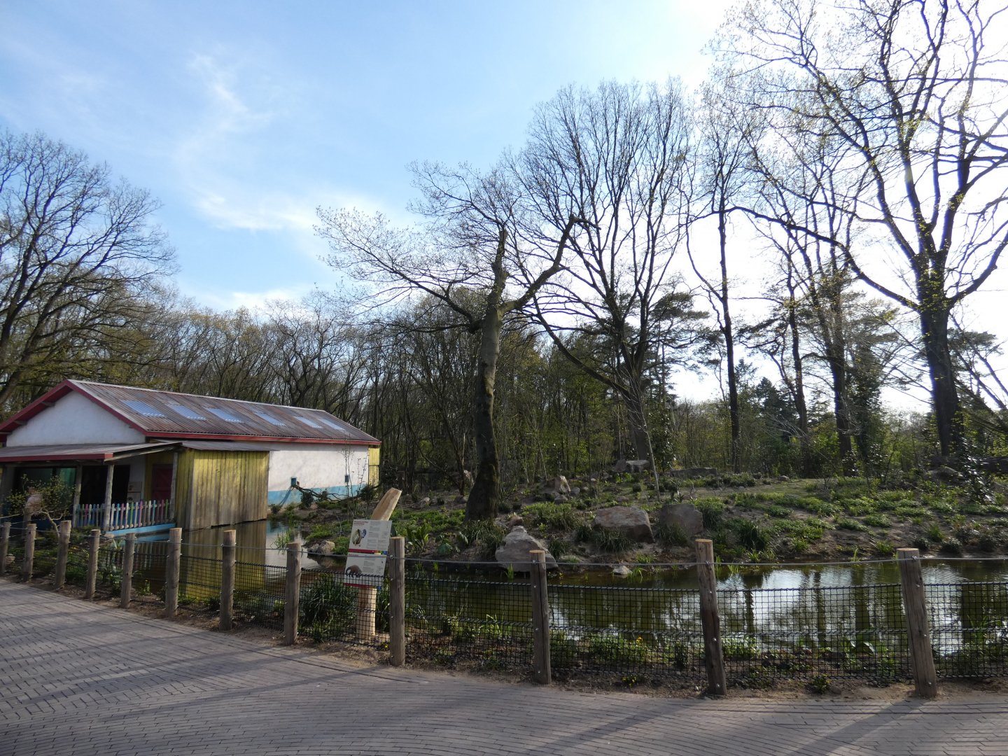 Squirrel Monkey and Coati island