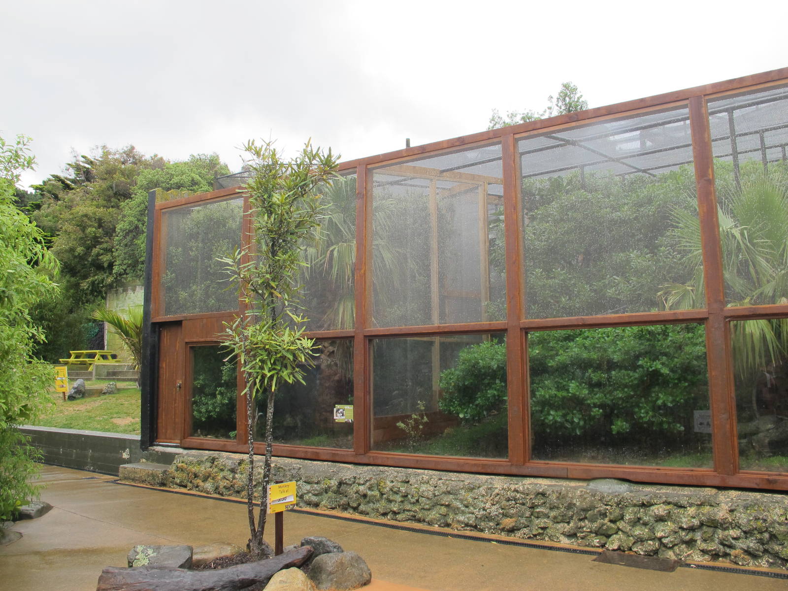 Squirrel Monkey and Cotton-top Tamarin Exhibits - Wellington Zoo 2013
