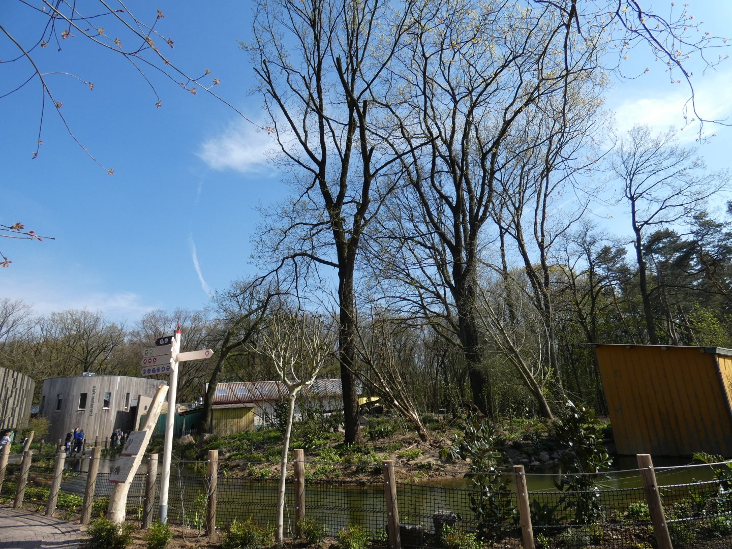 Squirrel Monkey and Ring-tailed Coati outdoor island