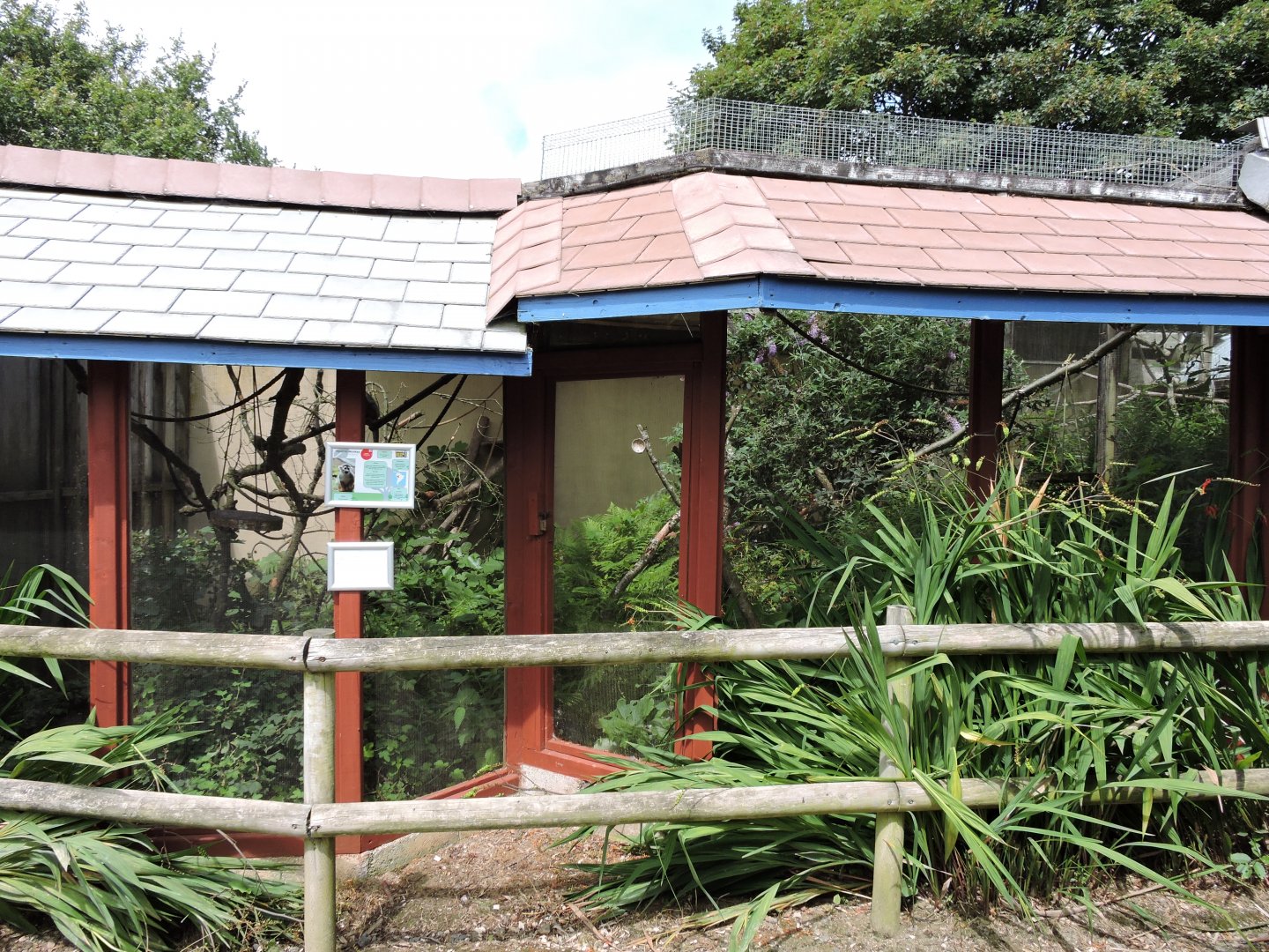 Squirrel Monkey and Tamarin Enclosures