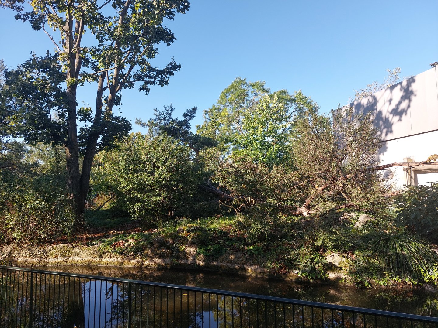 Squirrel monkey and woolly monkey island