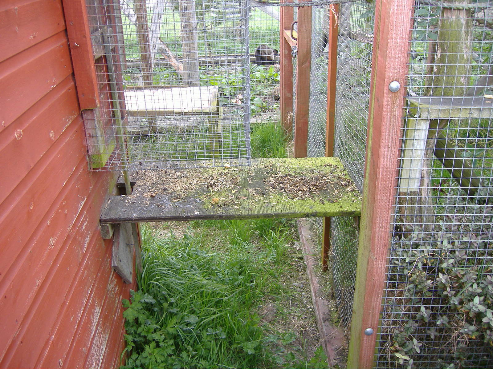 Squirrel Monkey Animalarium