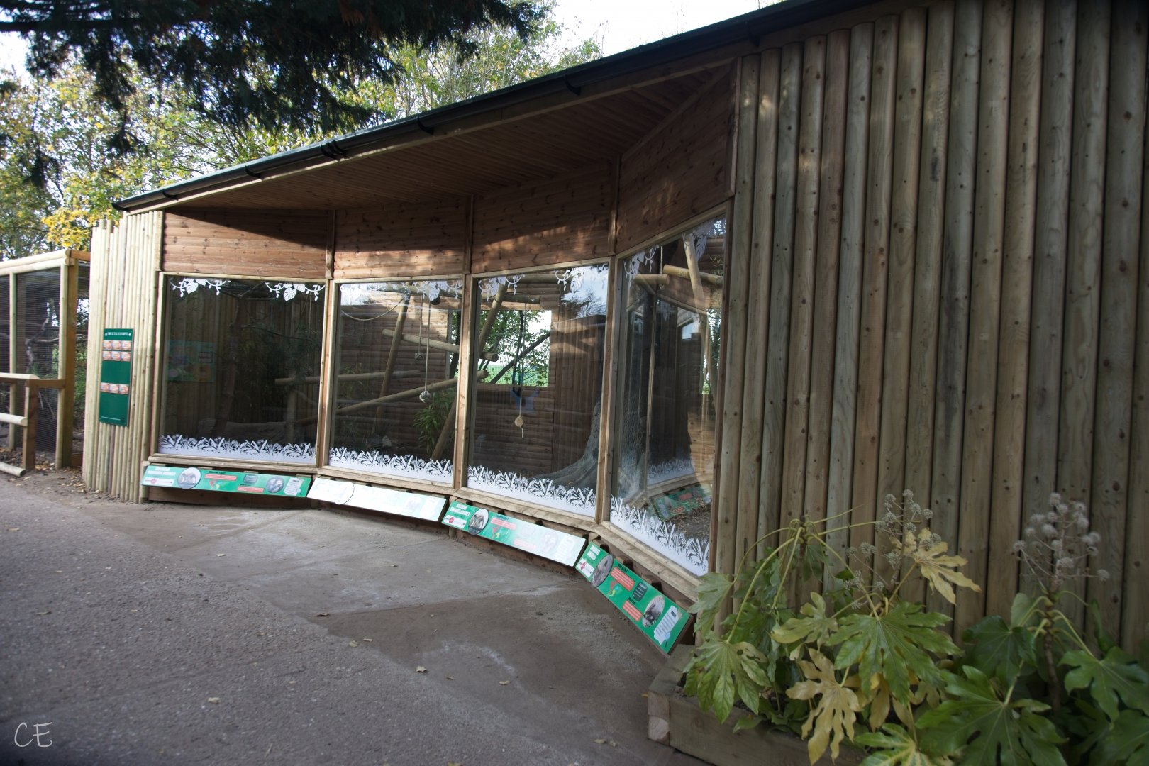 Squirrel Monkey/Armadillo new enclosure.