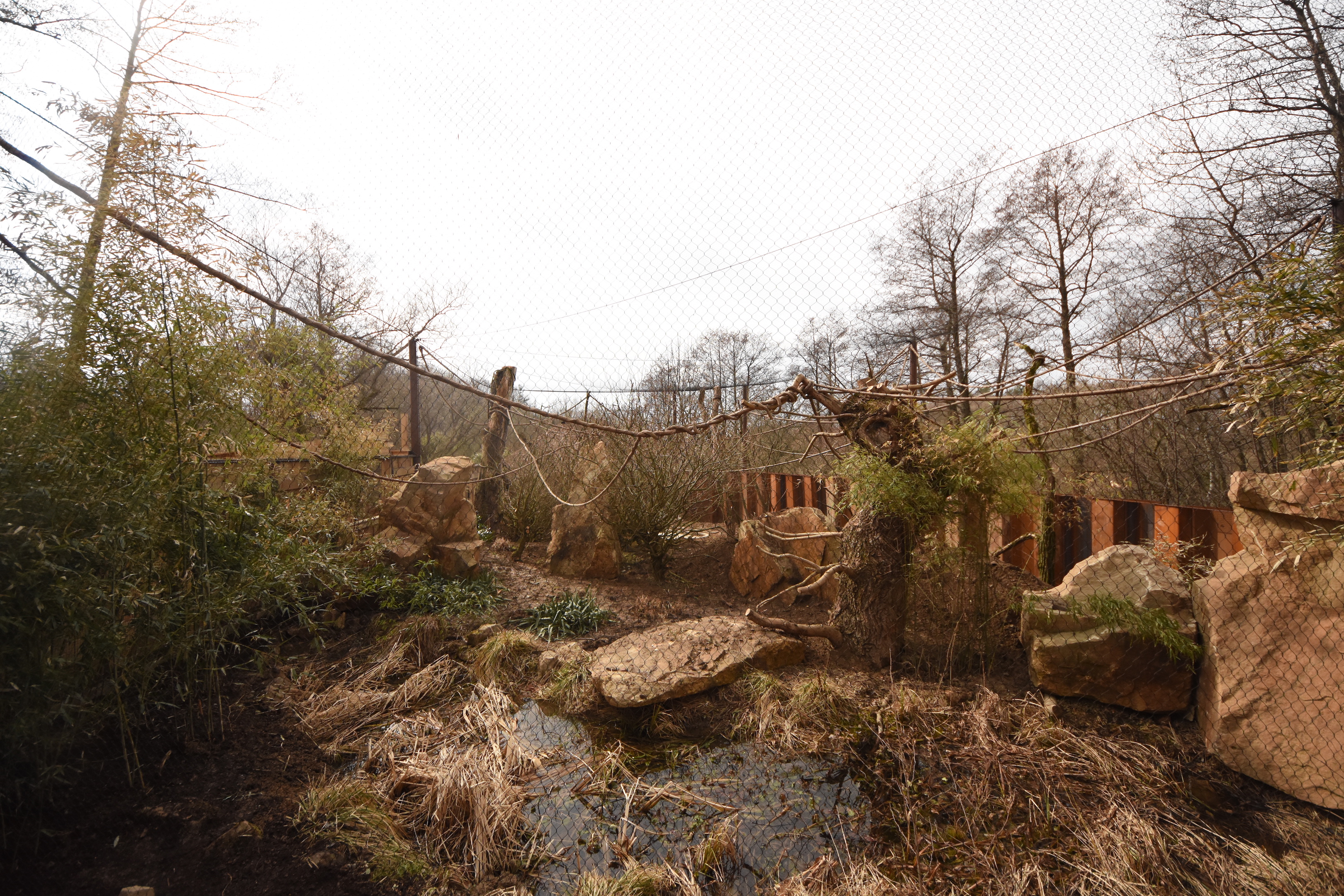 Squirrel monkey aviary