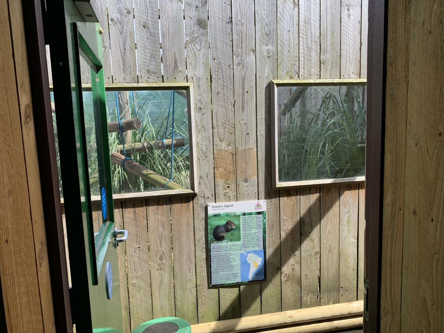 Squirrel Monkey / Azara's Agouti Enclosure at Northumberland College Zoo (2020)