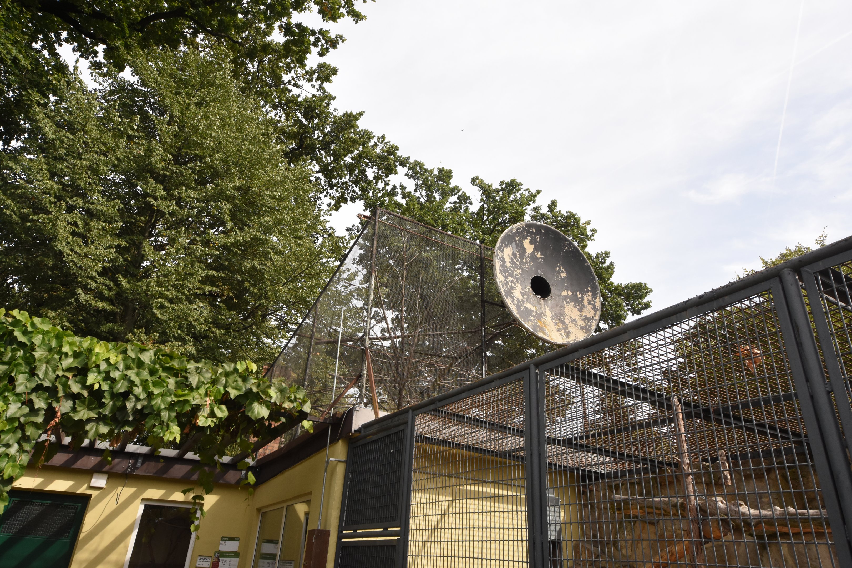 Squirrel monkey cage 2