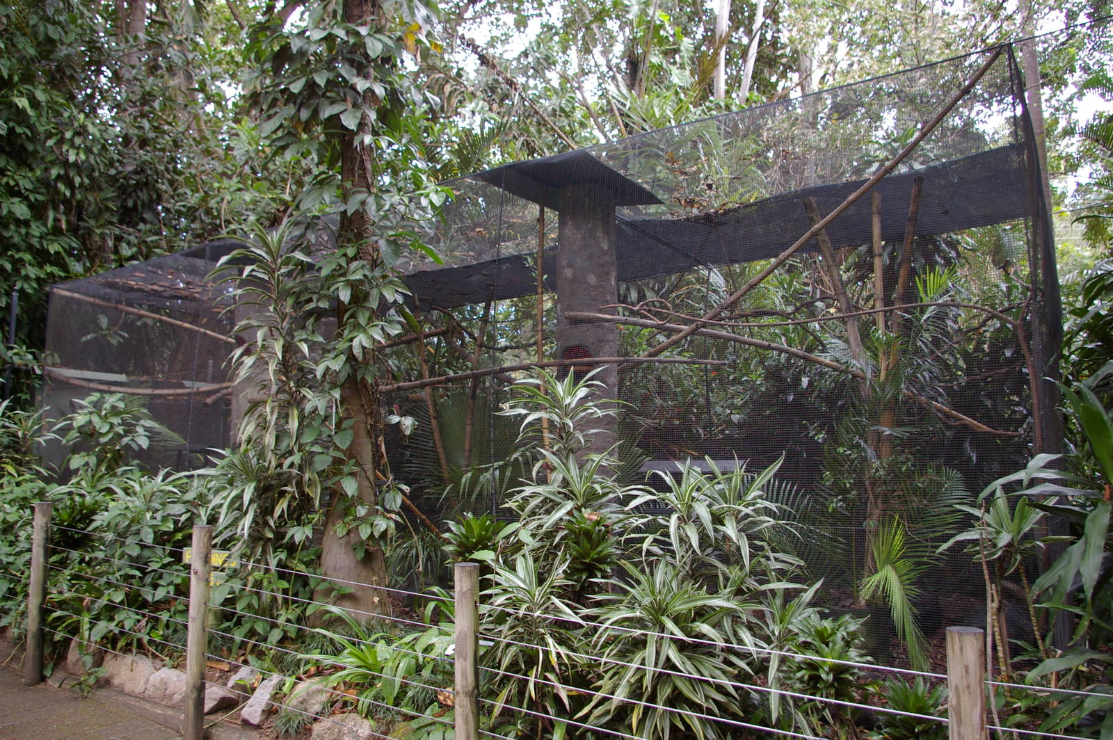 squirrel monkey cage, Alma Park Zoo