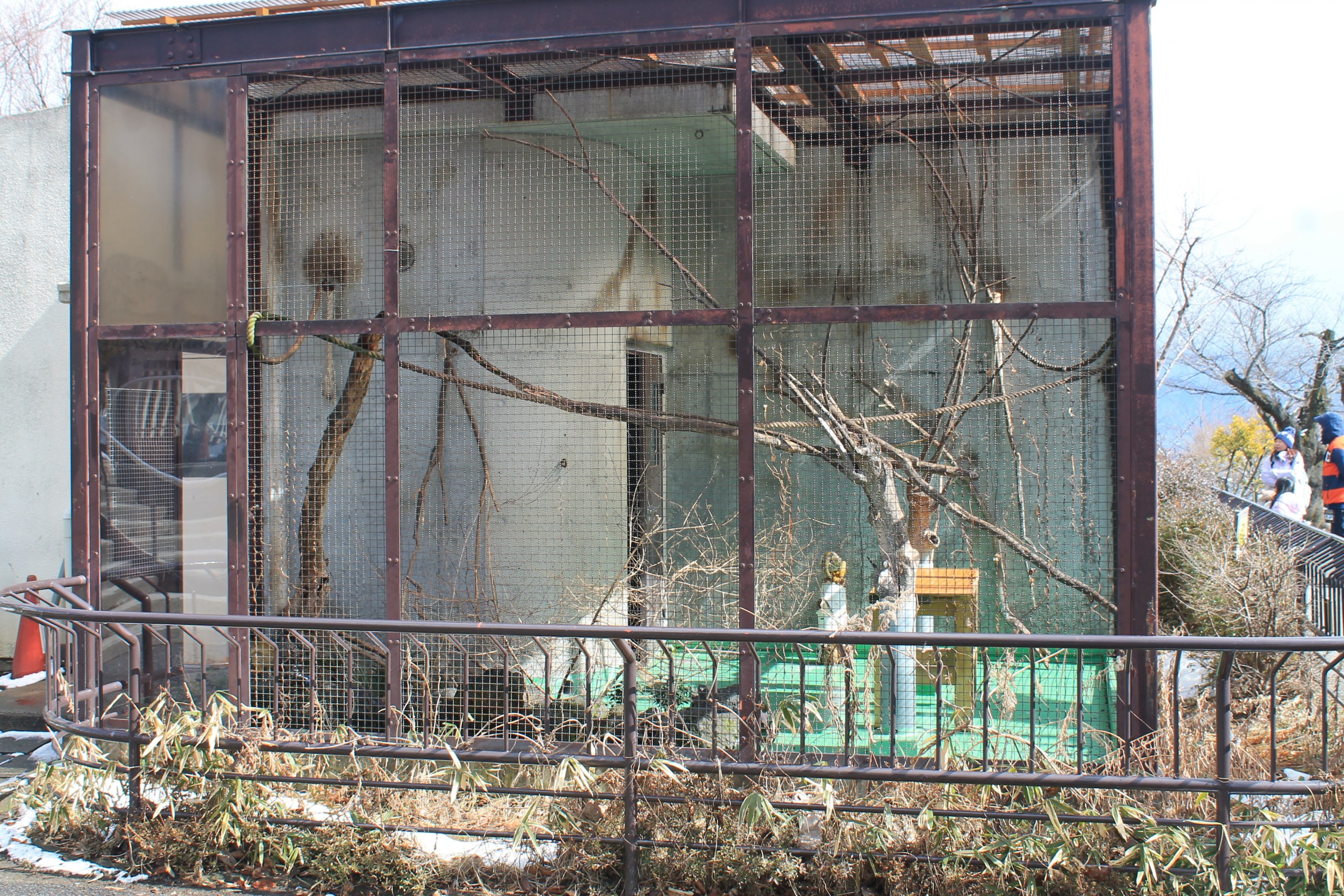 Squirrel Monkey cage, Joyama Zoo