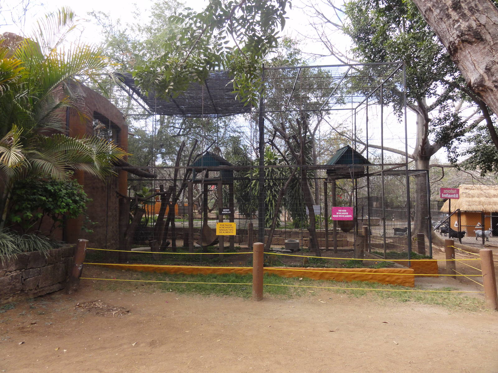 Squirrel Monkey cage - left window looks into shop