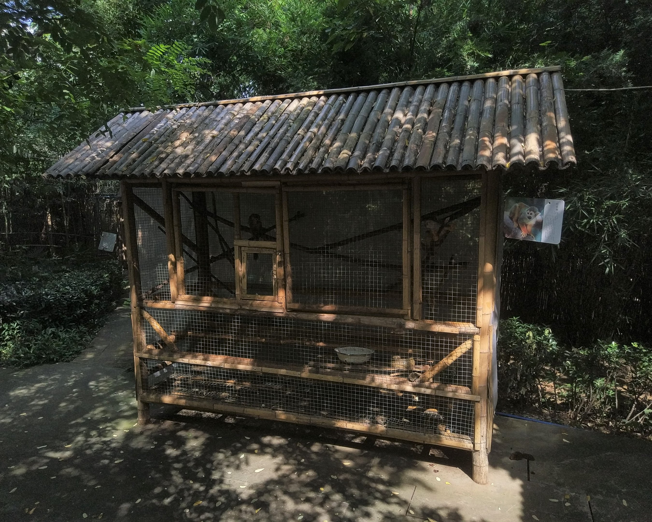 Squirrel Monkey Cage