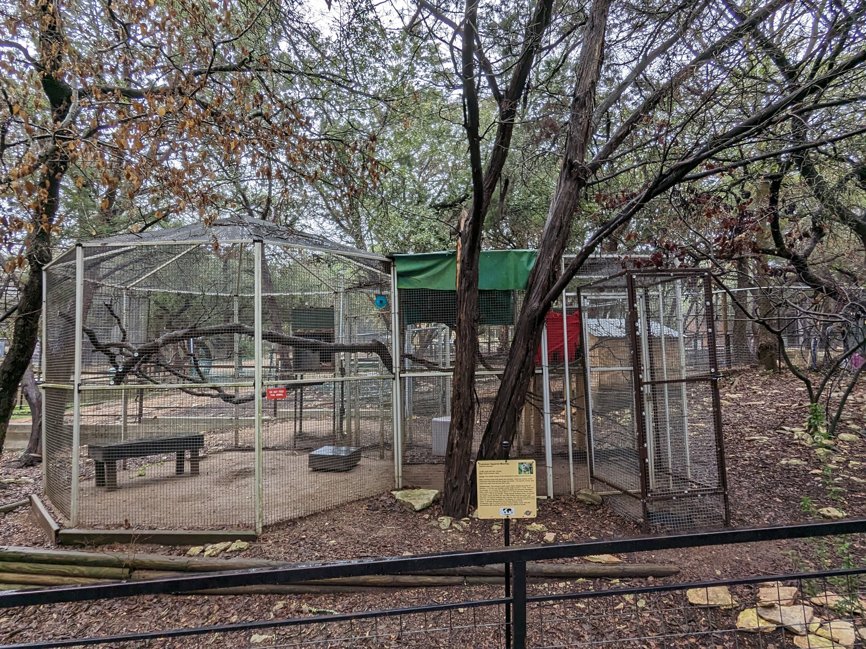 Squirrel monkey cage