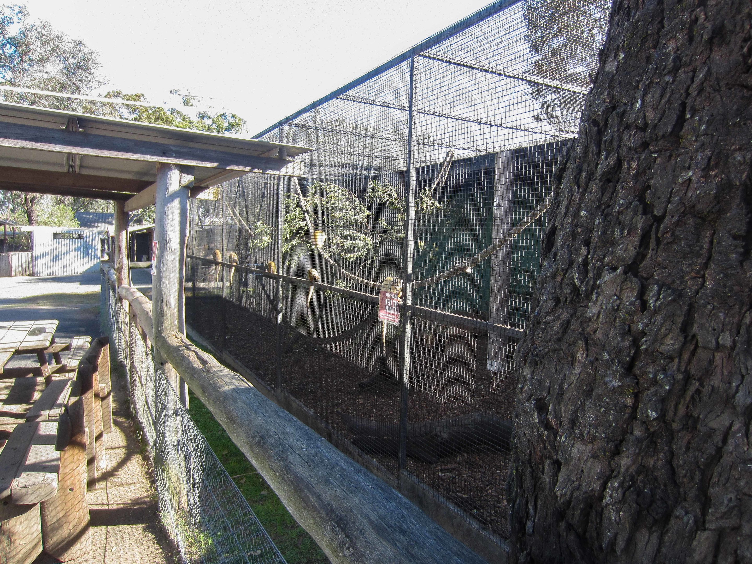 Squirrel Monkey cage