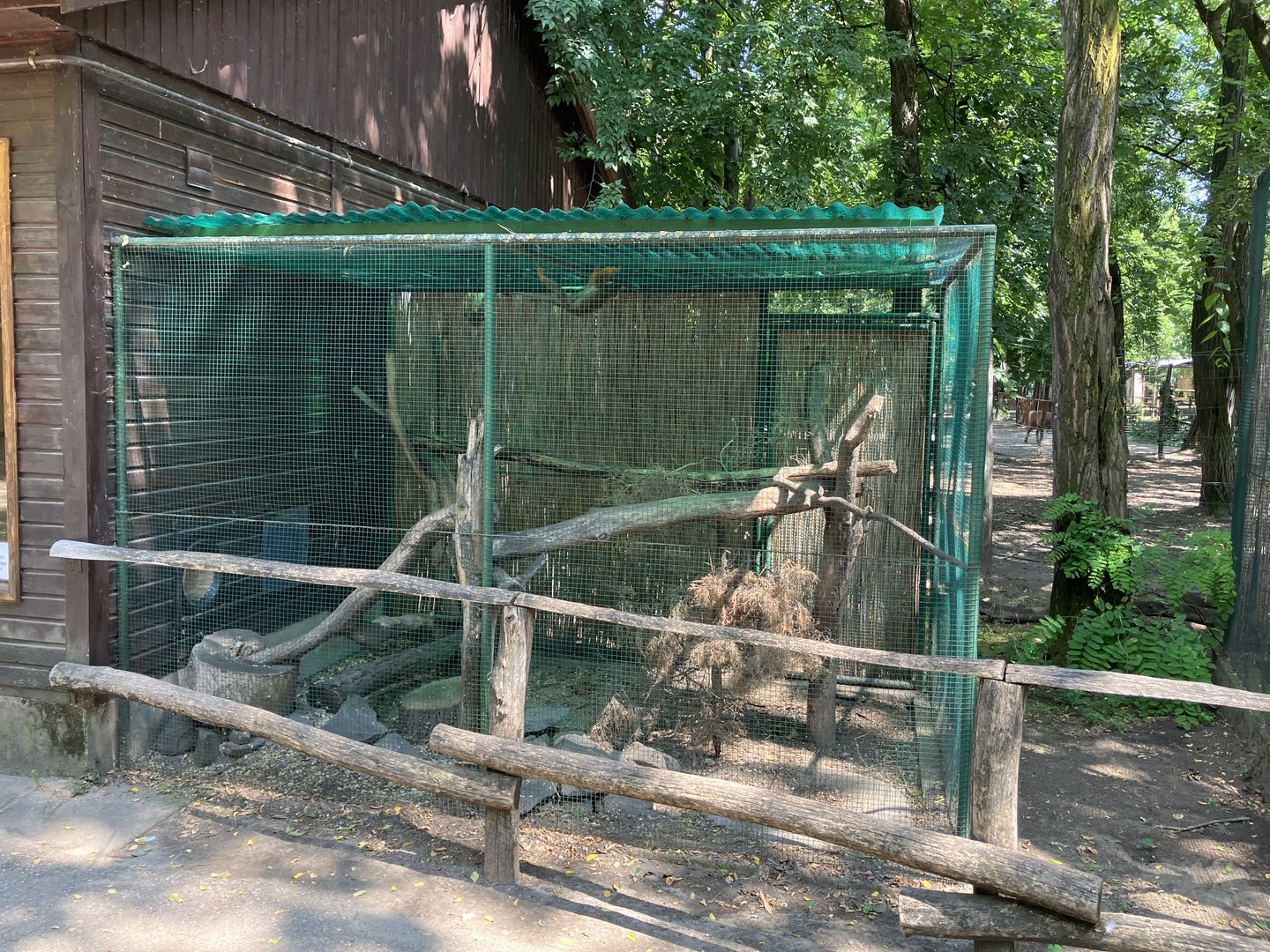 Squirrel monkey cage