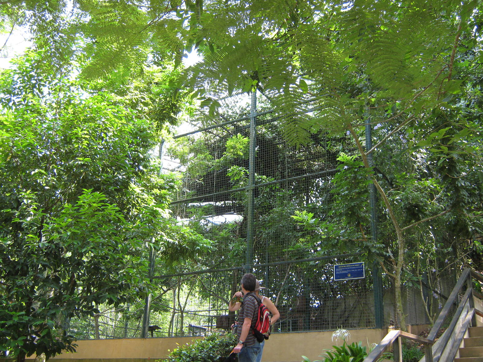 squirrel monkey cage