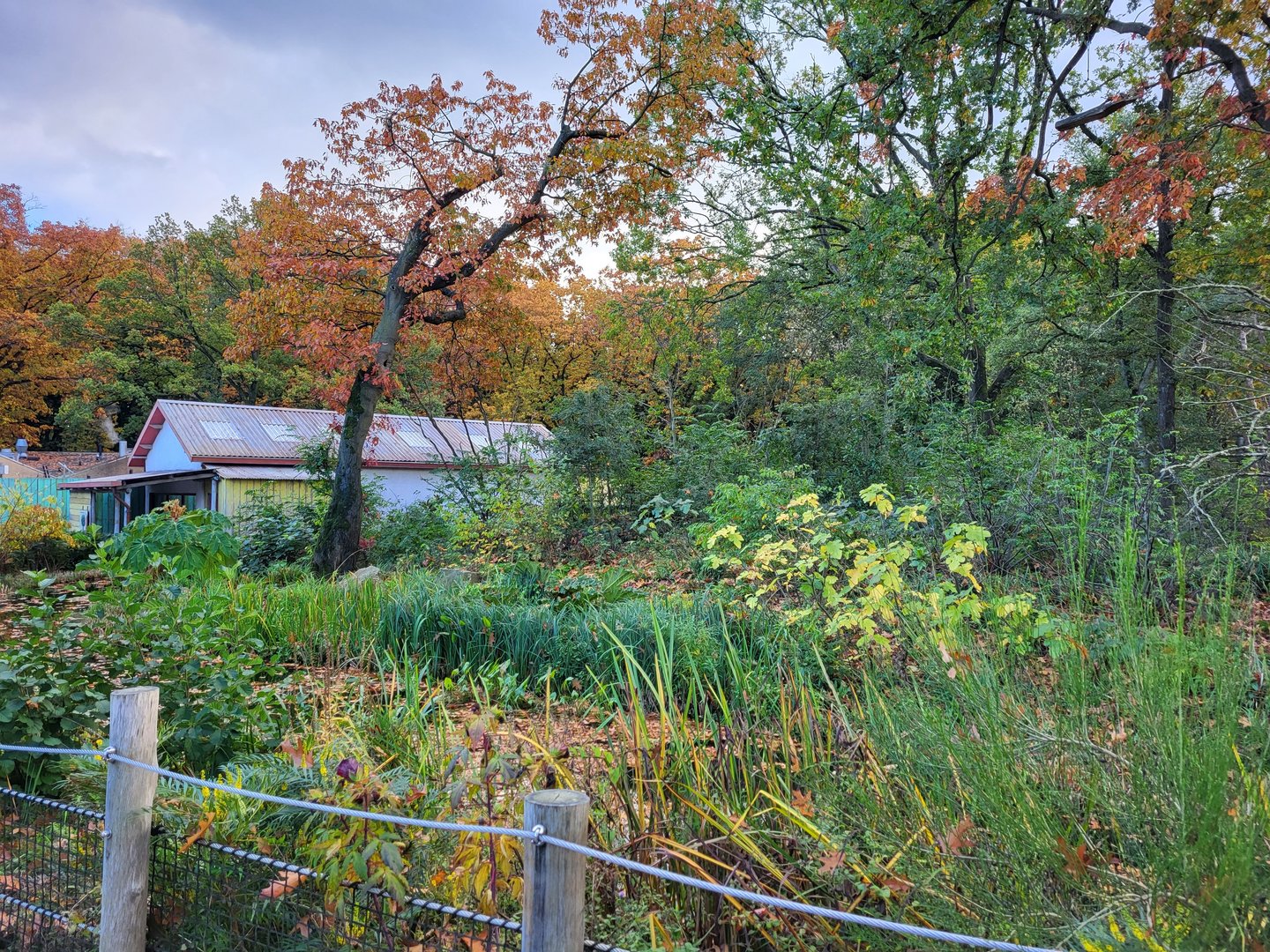 Squirrel monkey - coati enclosure