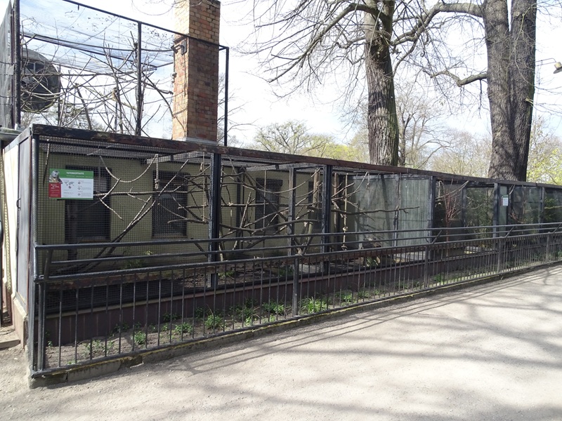 Squirrel monkey / emperor tamarin outdoor enclosures