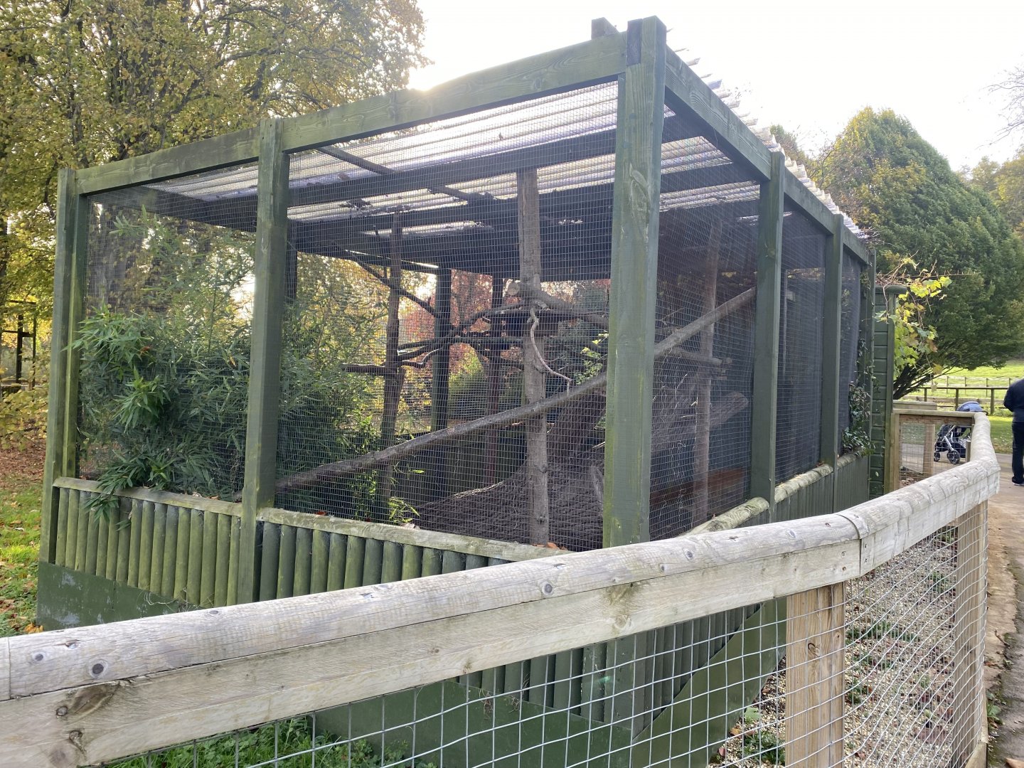 Squirrel monkey enclosure 071121