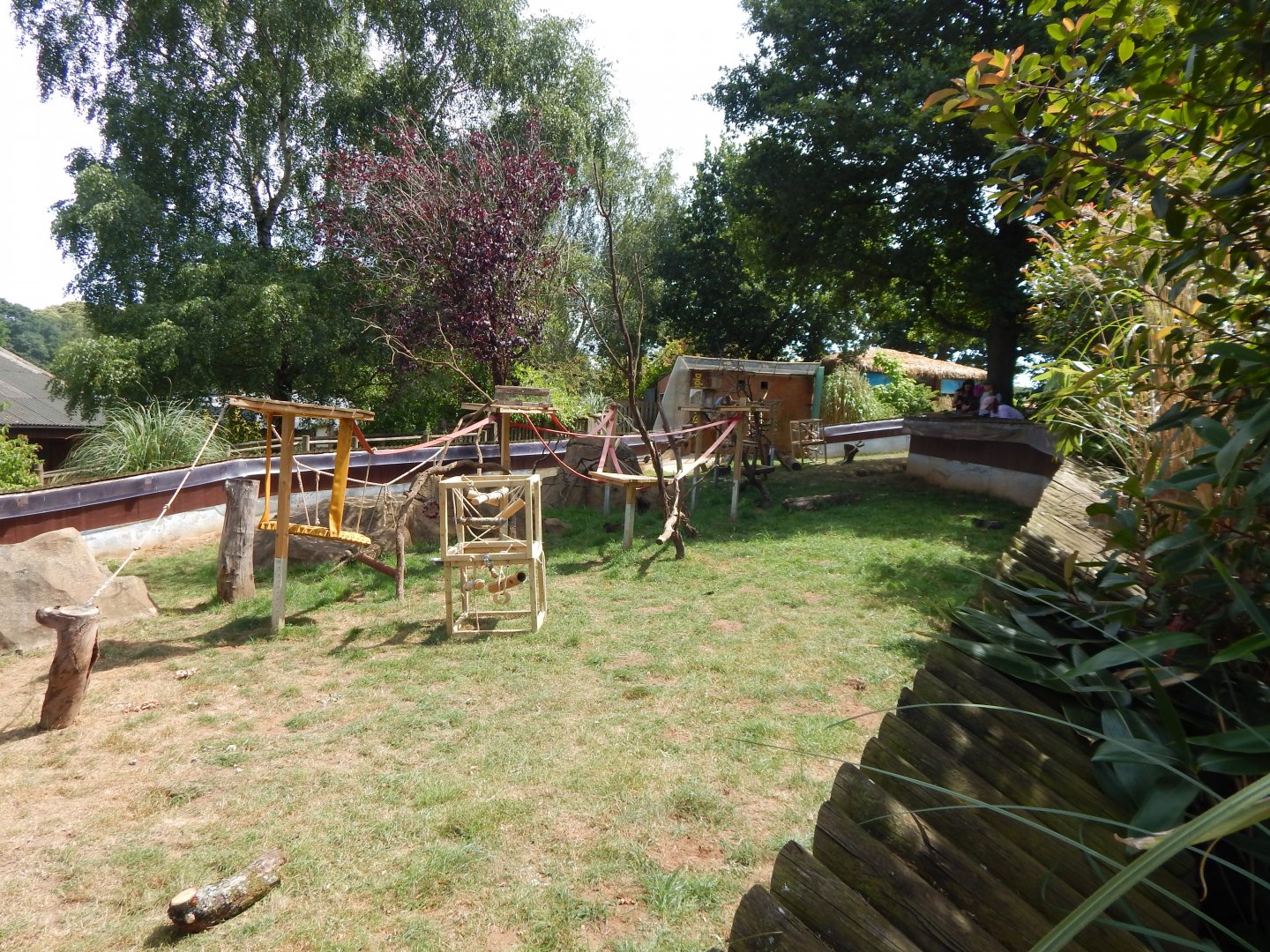 Squirrel monkey enclosure 110722