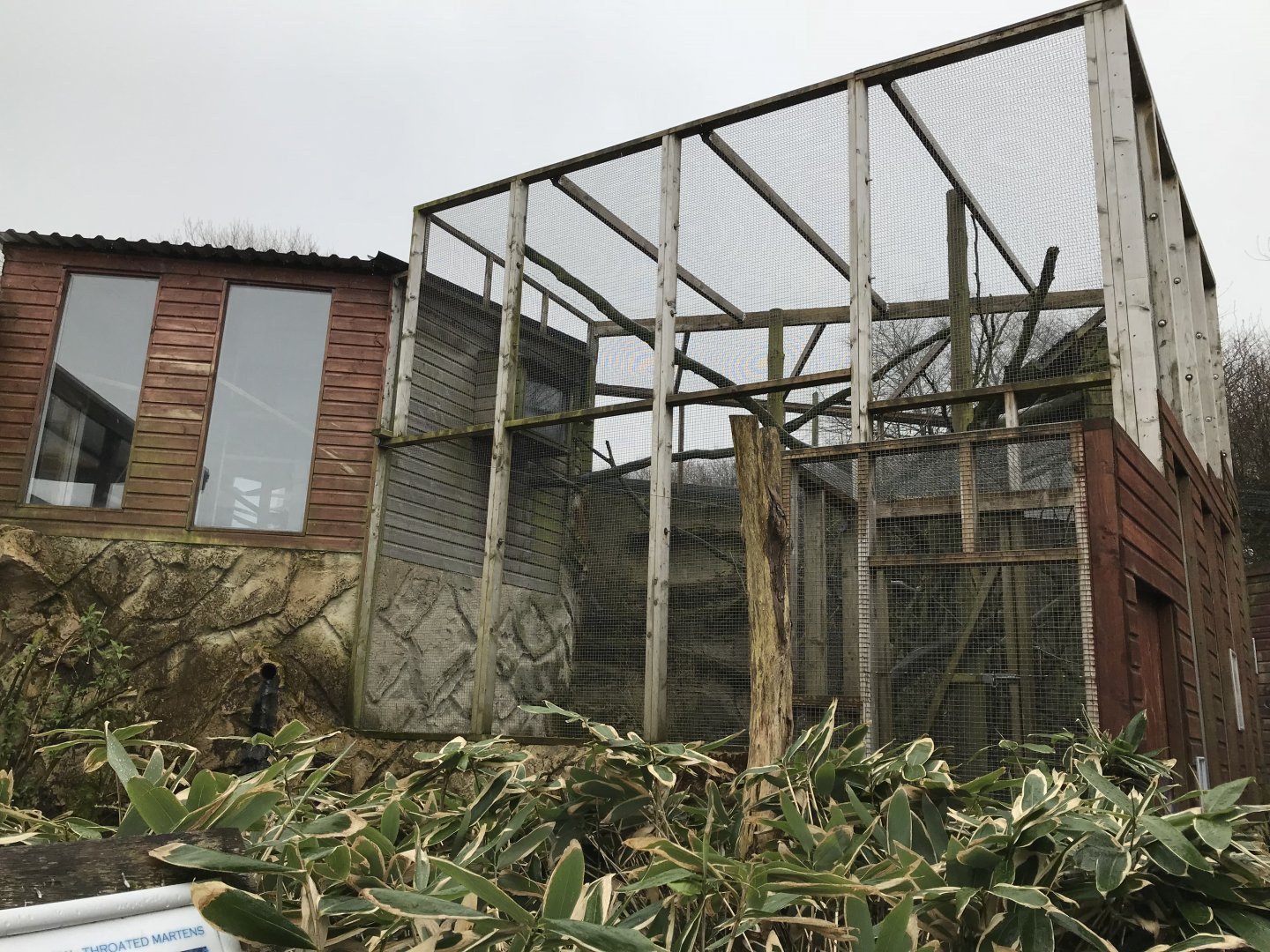 Squirrel monkey enclosure 150418