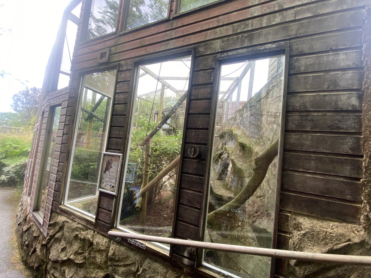 Squirrel monkey enclosure 150522