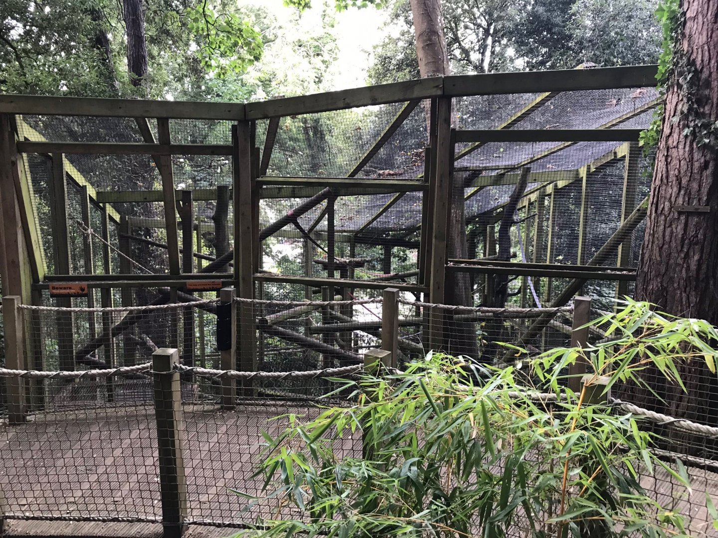 Squirrel monkey enclosure 150918