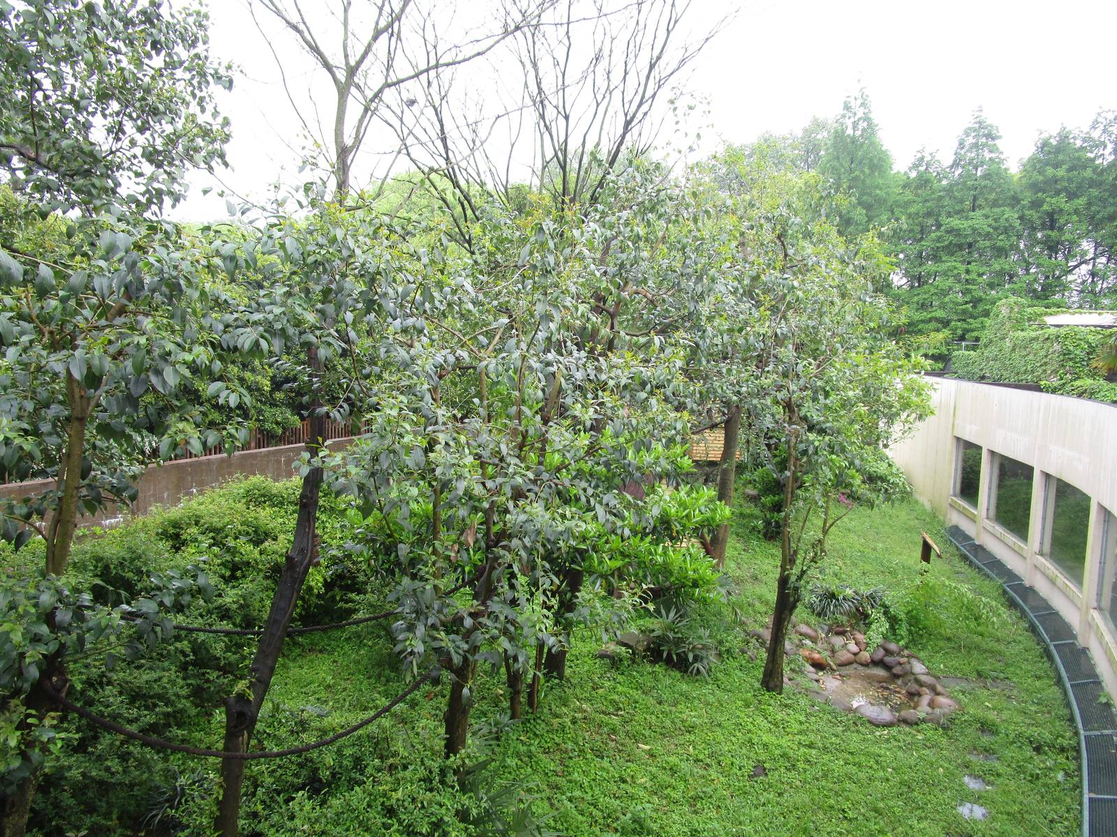 Squirrel Monkey Enclosure - 16/04/2016