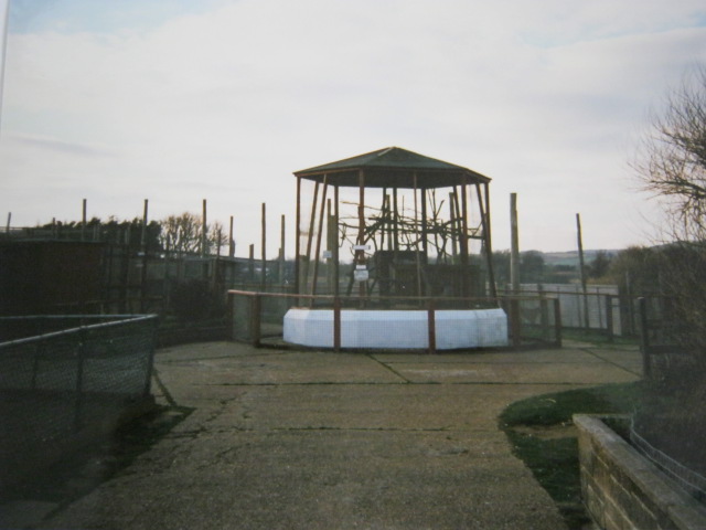 Squirrel Monkey Enclosure 1998.