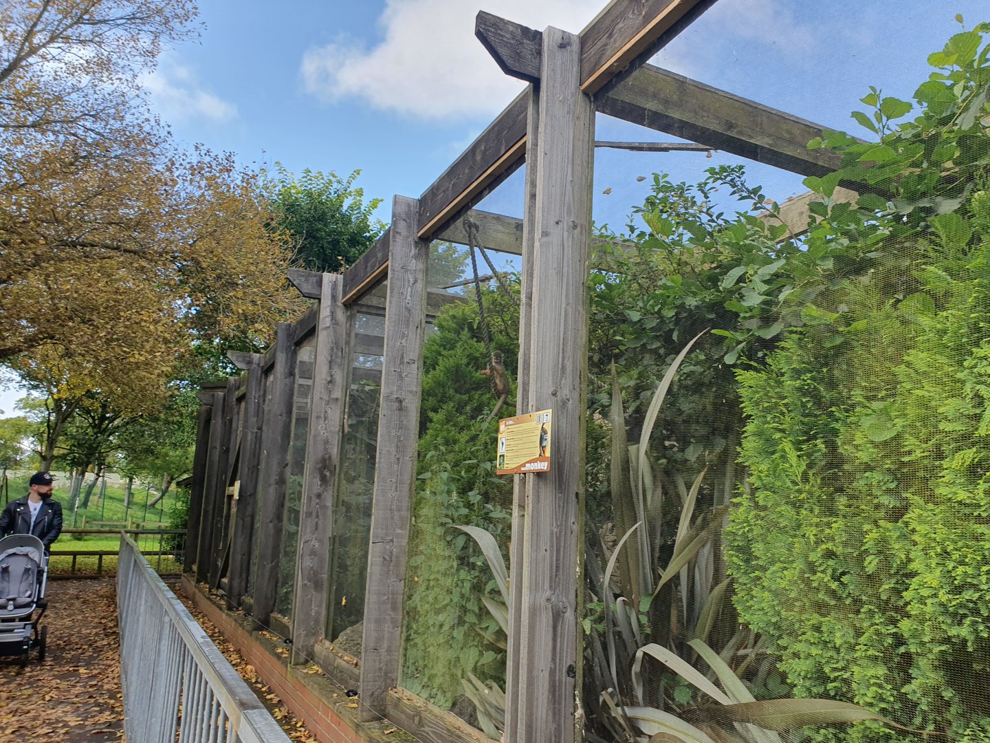 Squirrel Monkey enclosure 25/8/23