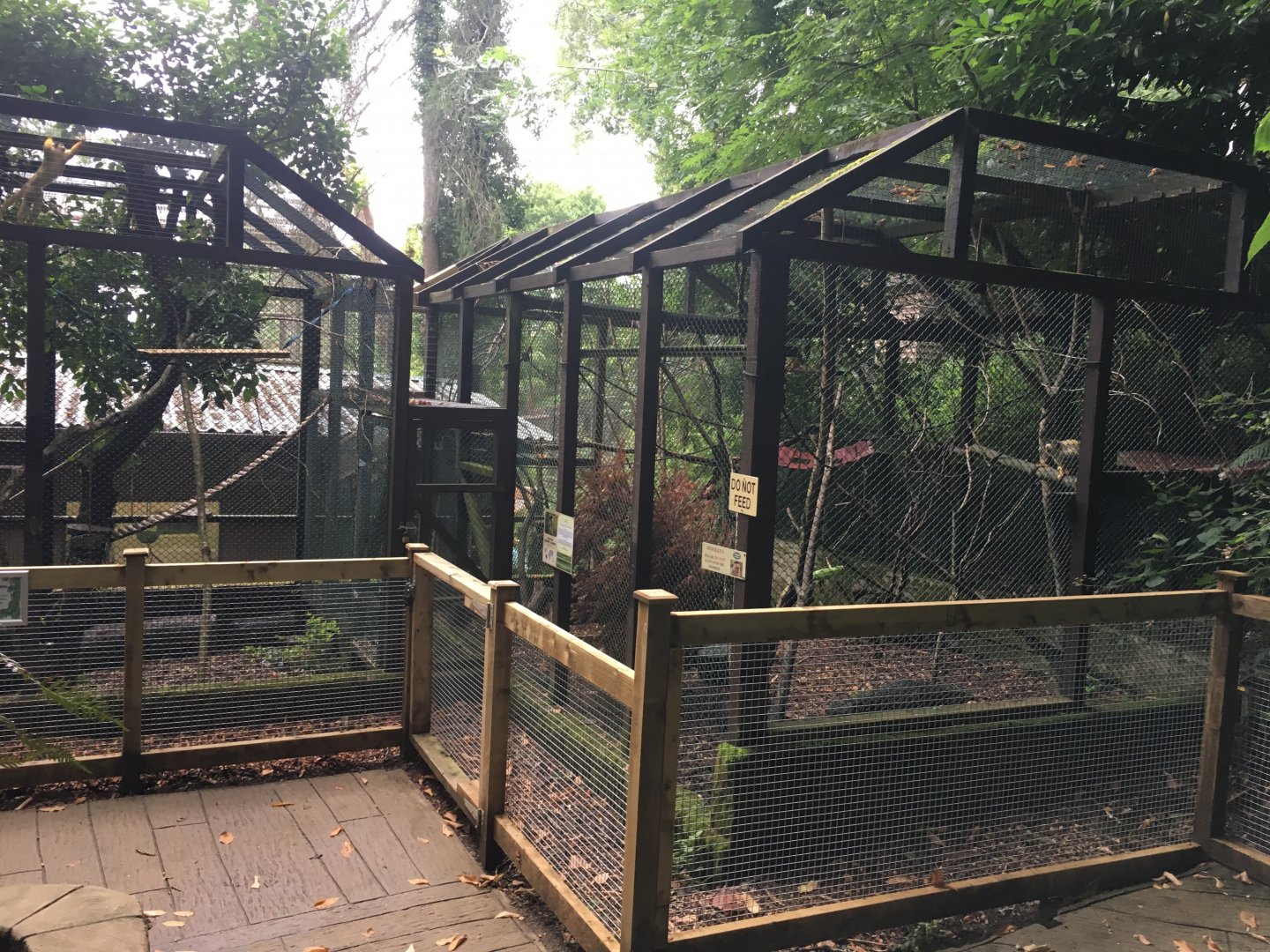 Squirrel monkey enclosure 300617