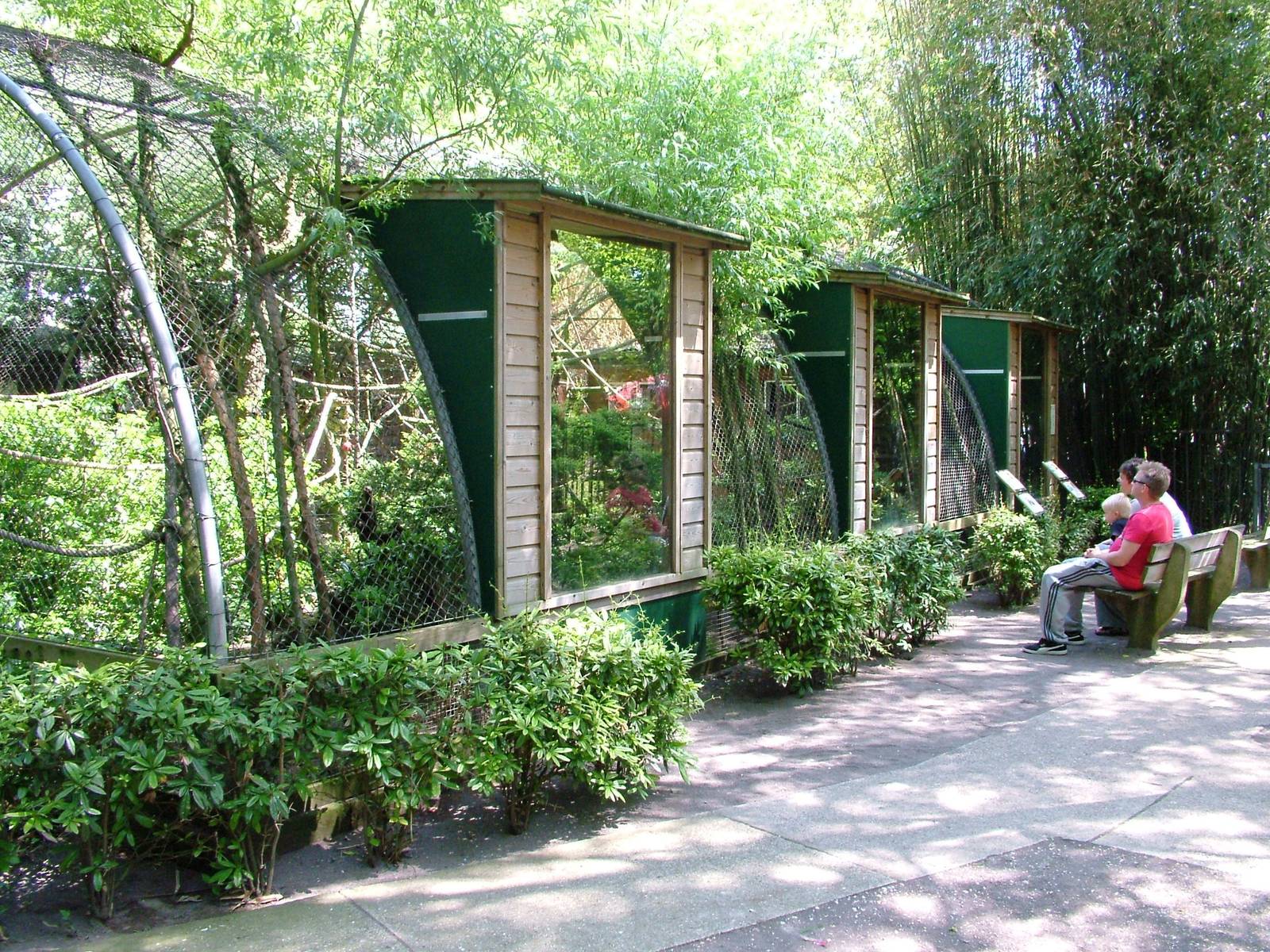Squirrel Monkey Enclosure at Best, 02/06/12
