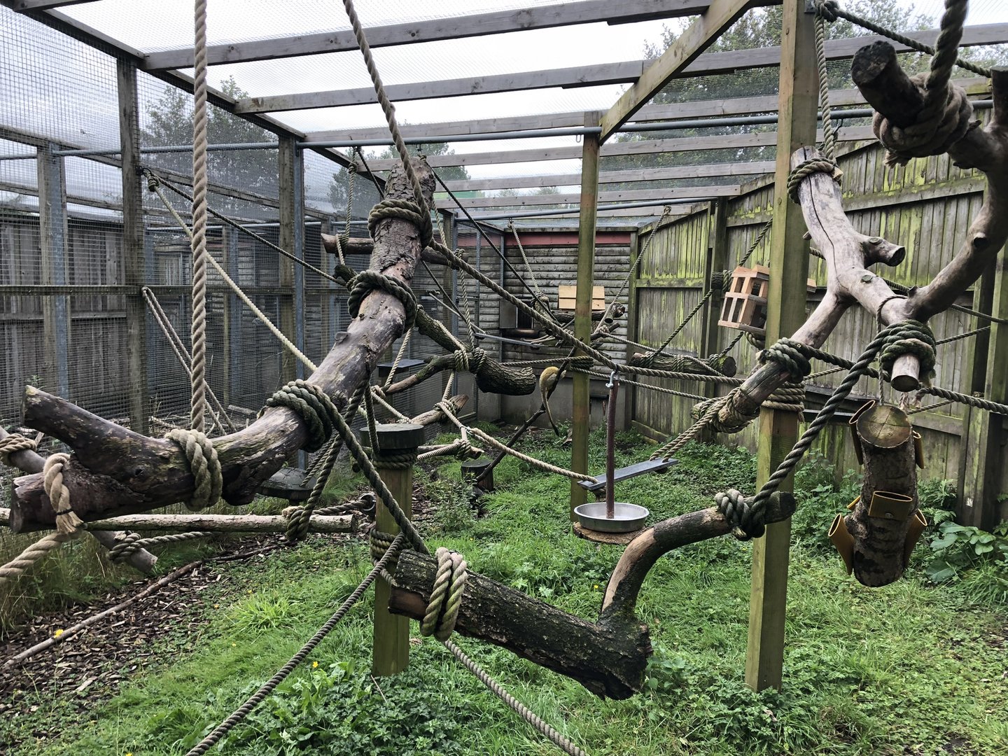 Squirrel Monkey Enclosure at Peak Wildlife Park (August 2023)