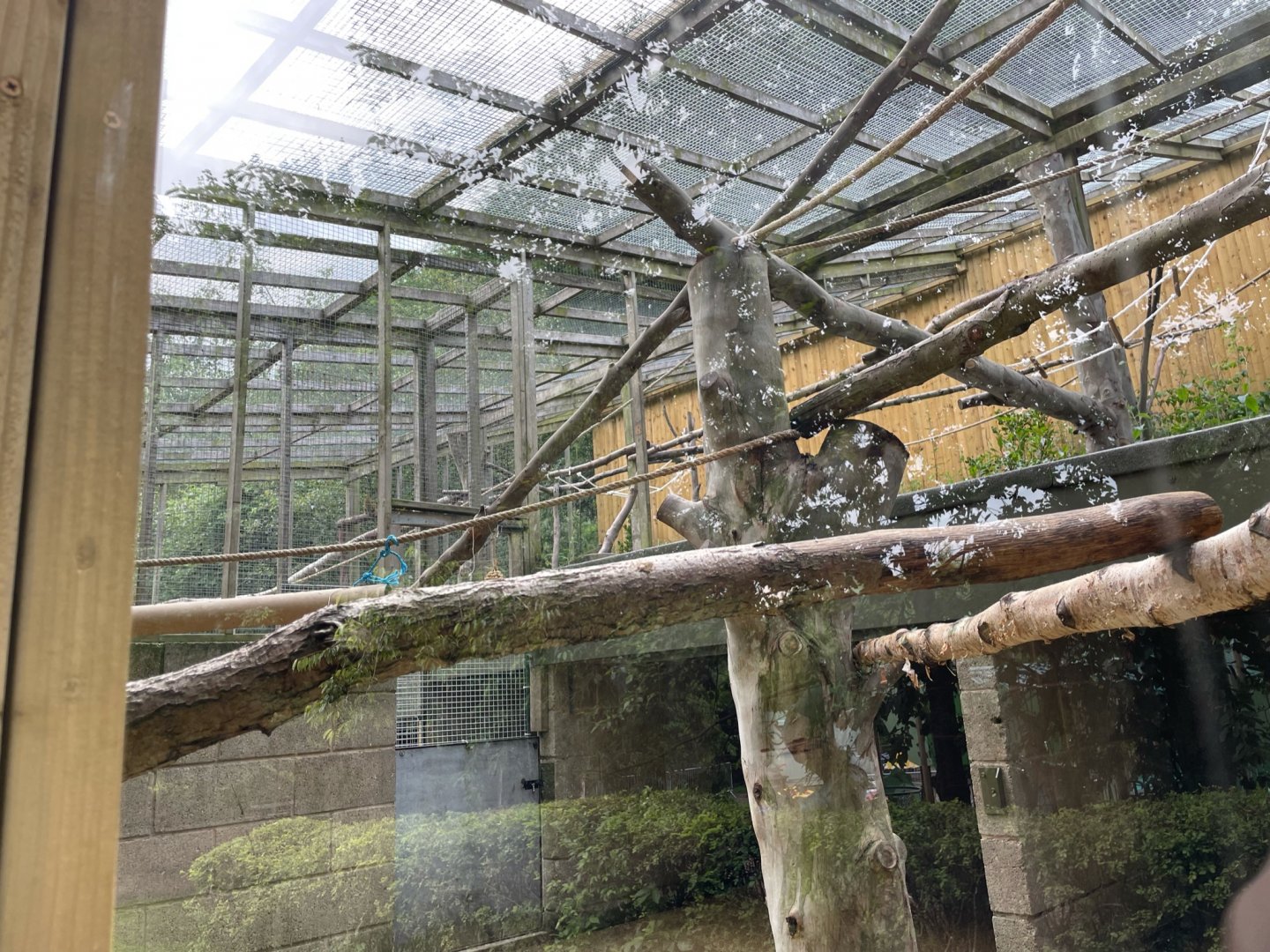 Squirrel Monkey Enclosure at Ponderosa Zoo (July 2021)