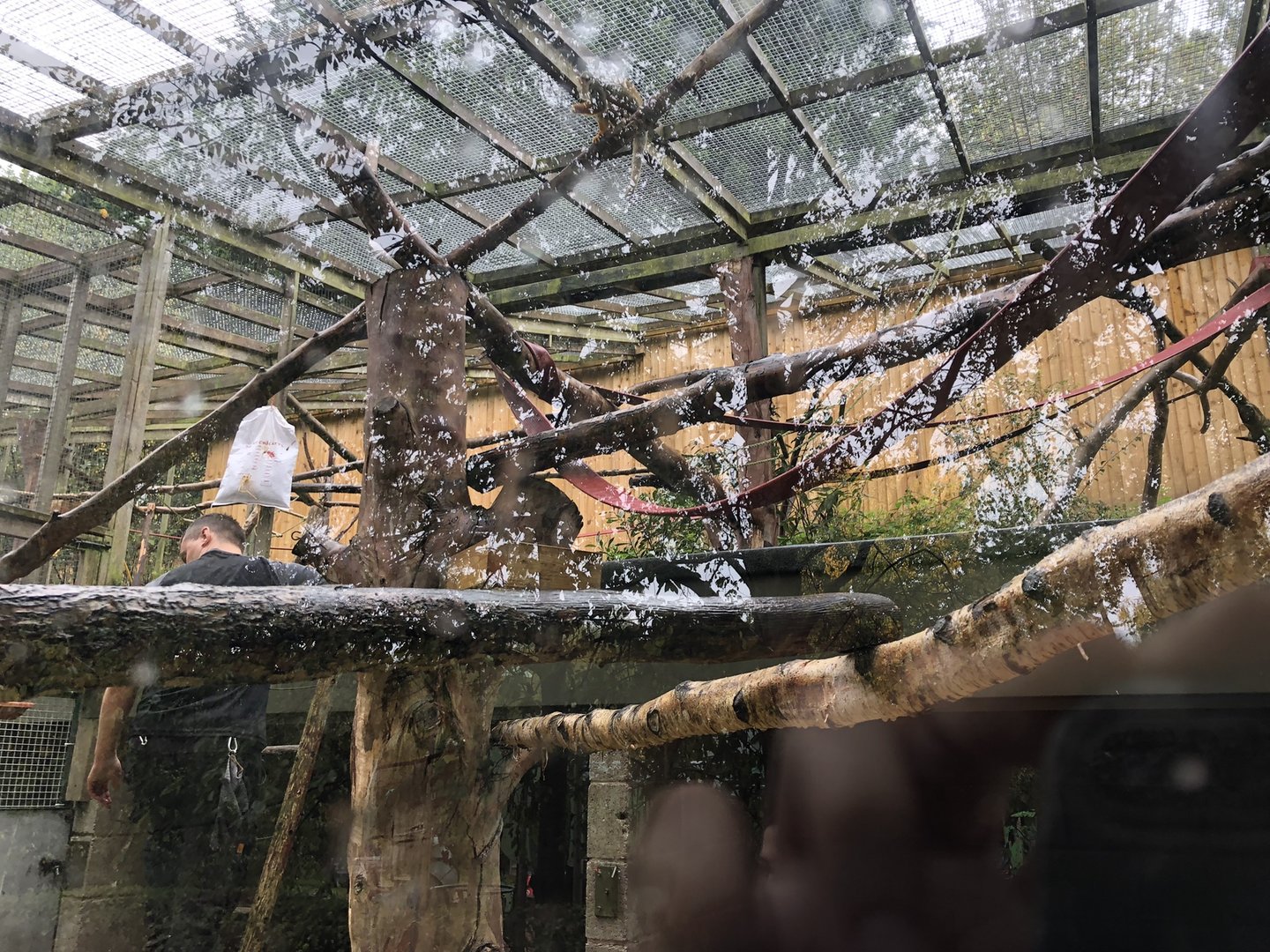 Squirrel Monkey Enclosure at Ponderosa Zoo (October 2022)