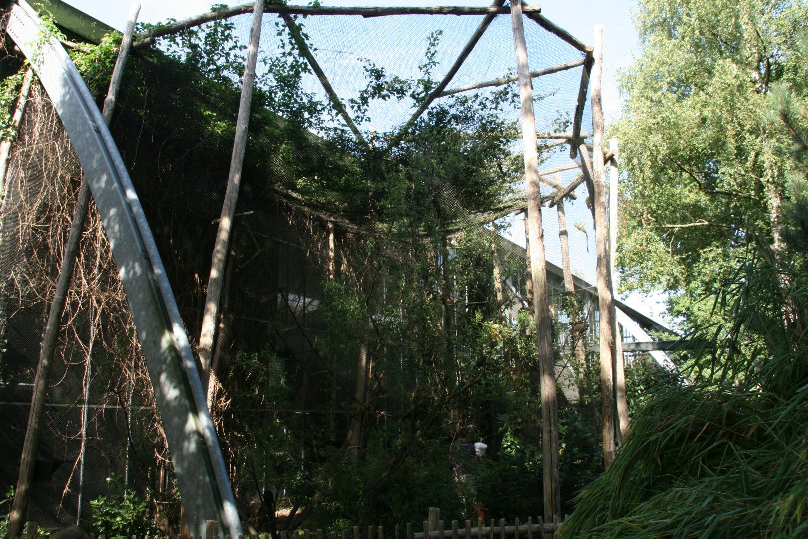 Squirrel monkey enclosure