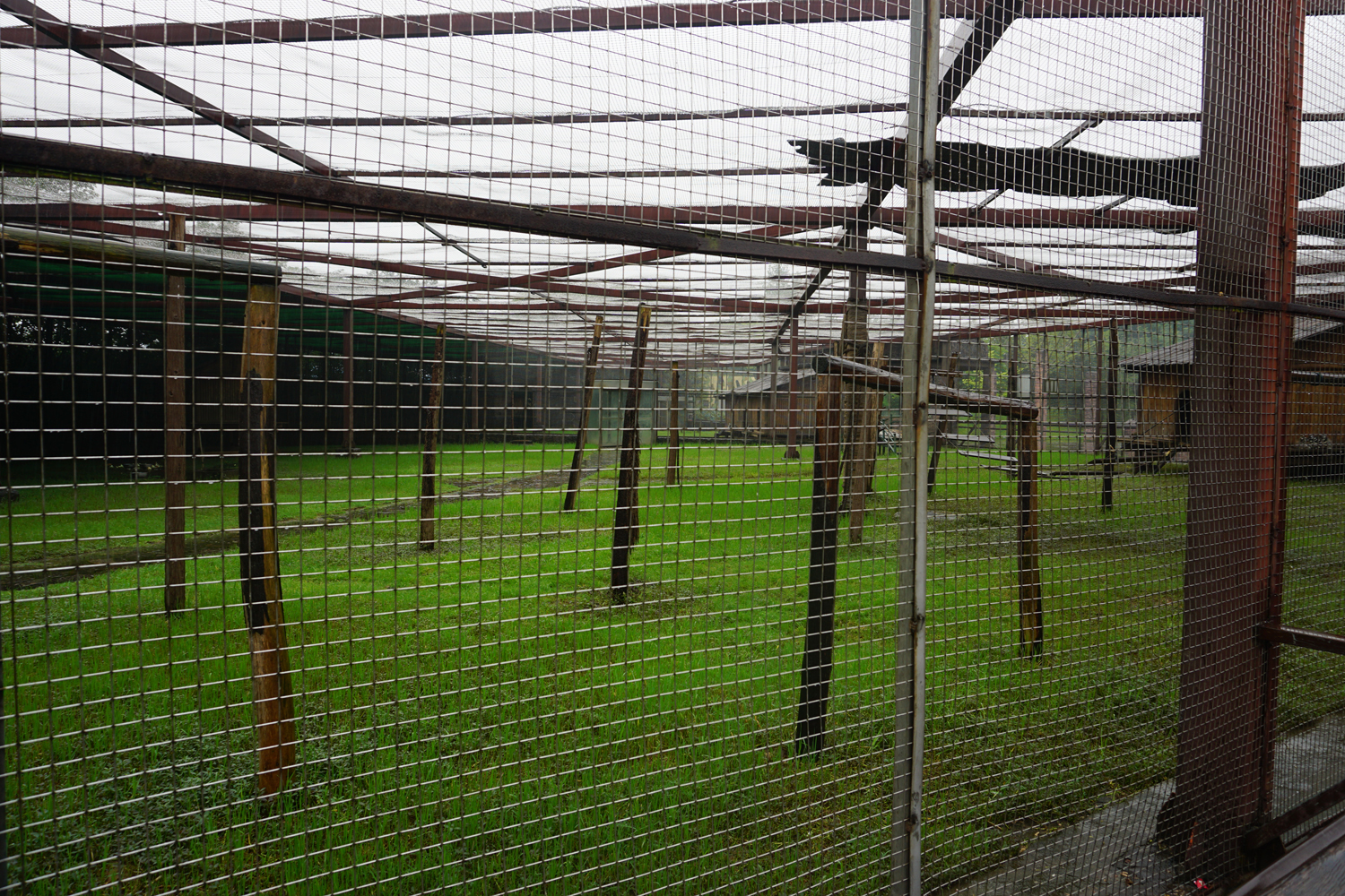 Squirrel monkey enclosure