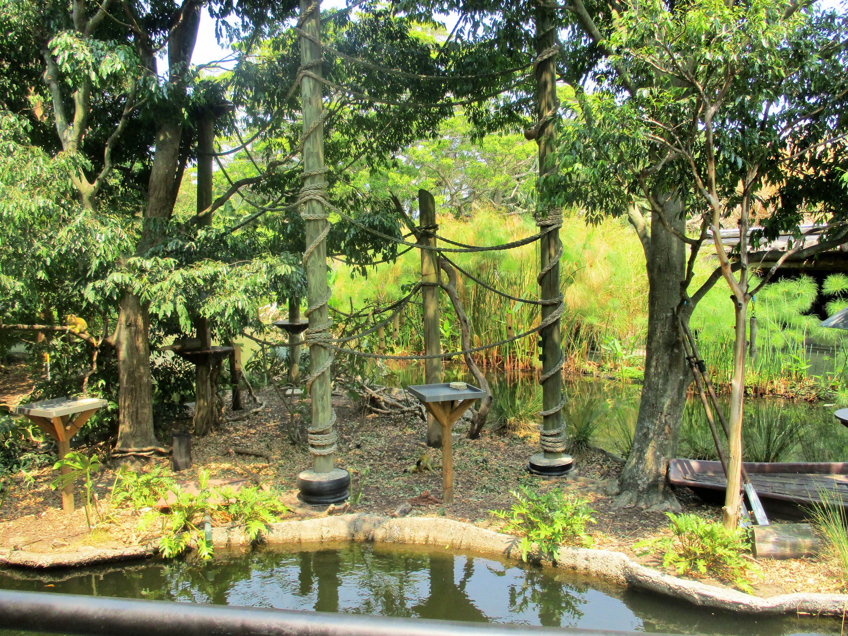 Squirrel Monkey Enclosure