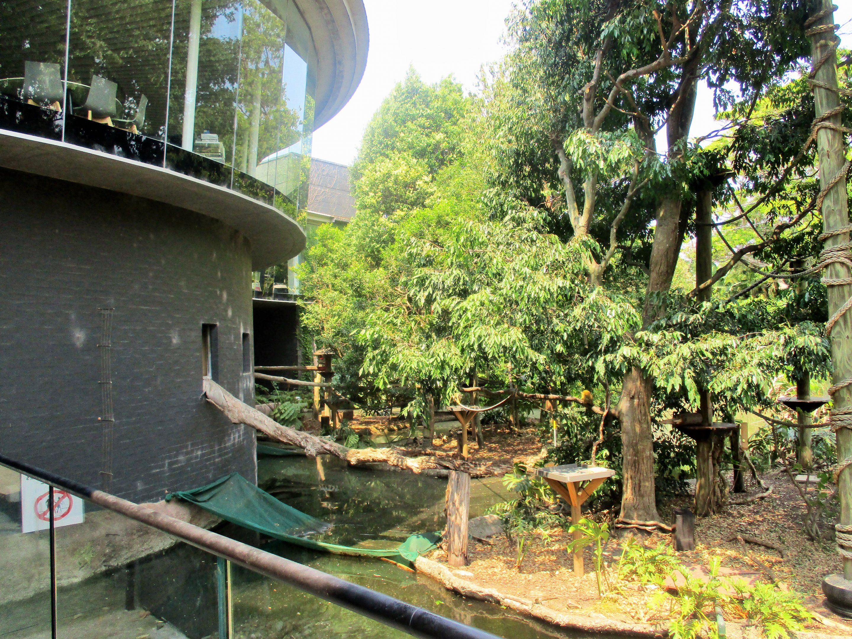 Squirrel Monkey Enclosure