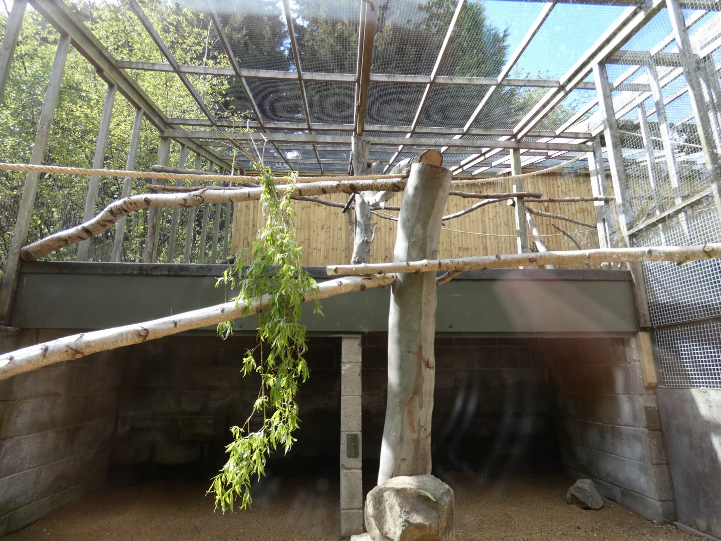 Squirrel monkey enclosure