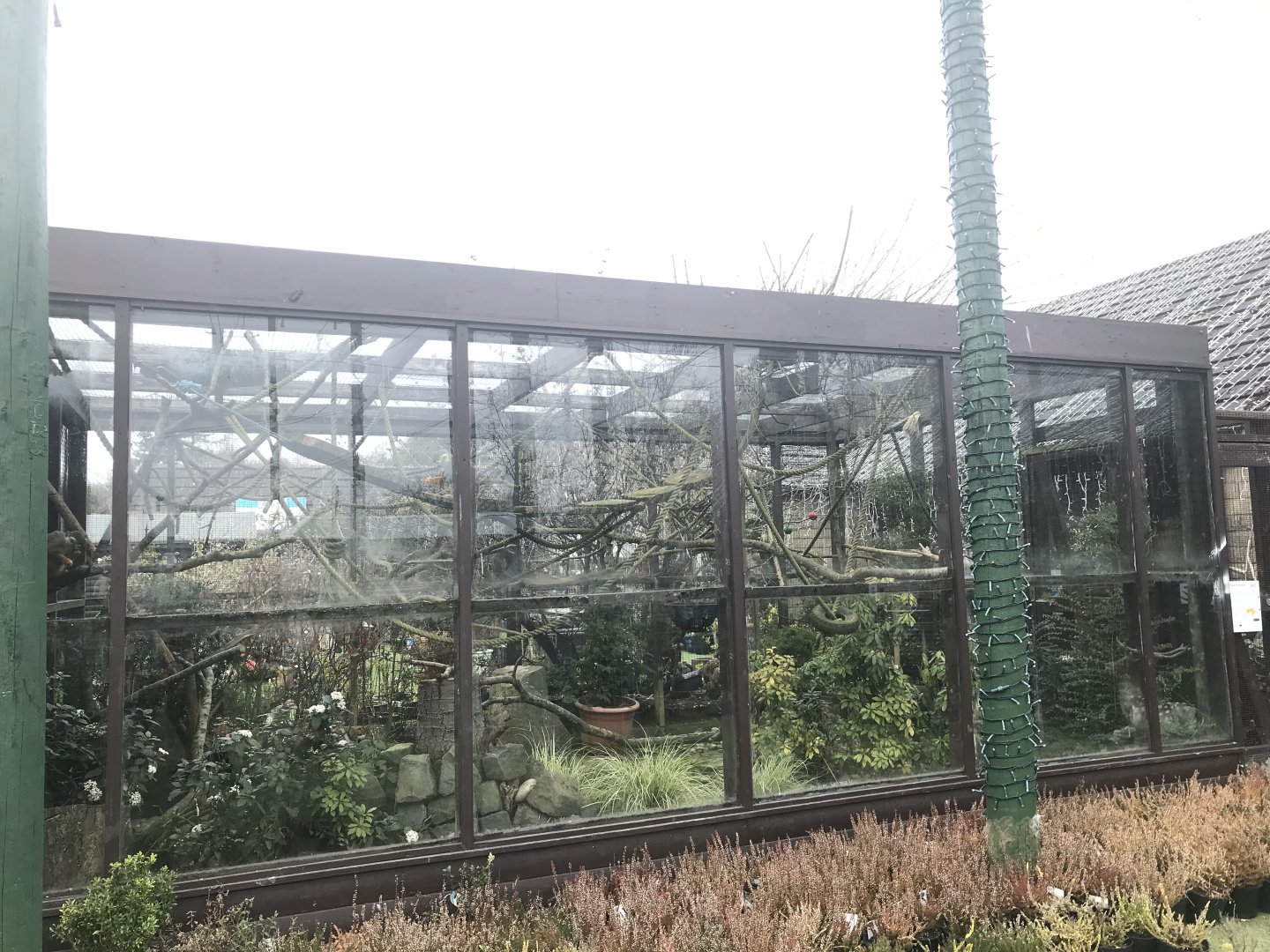 Squirrel monkey enclosure